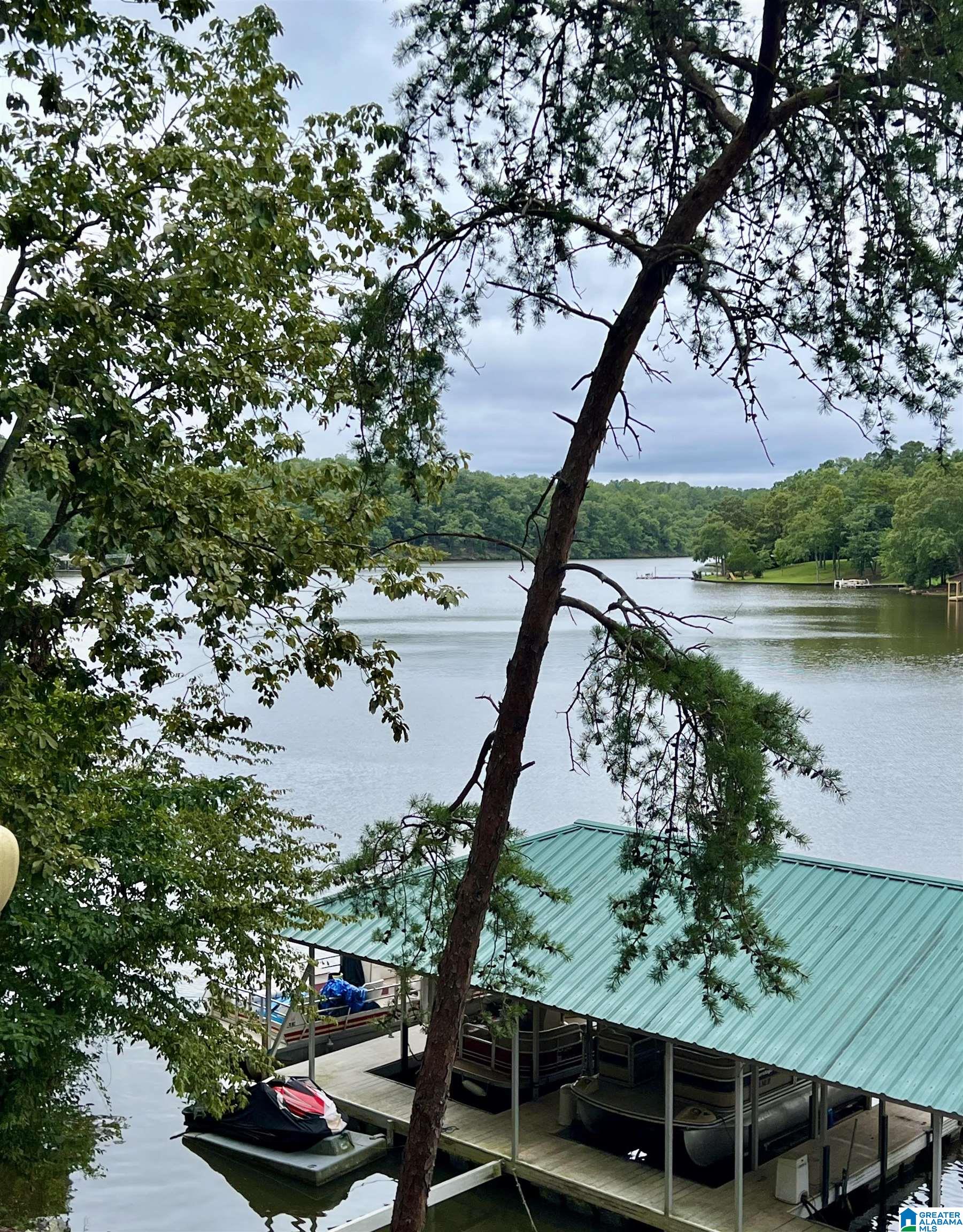 Homes for sale in Wedowee, AL | 219 Pleasure Point Road #B4, Wedowee, AL 36278 | MLS# 21427425