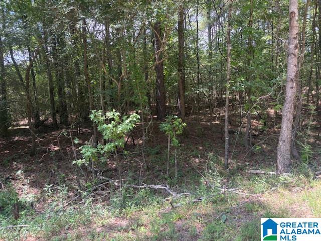 Homes for sale in Empire, AL | 0000 Hidden Lake Dr, Empire, AL 35063 | MLS# 21427727