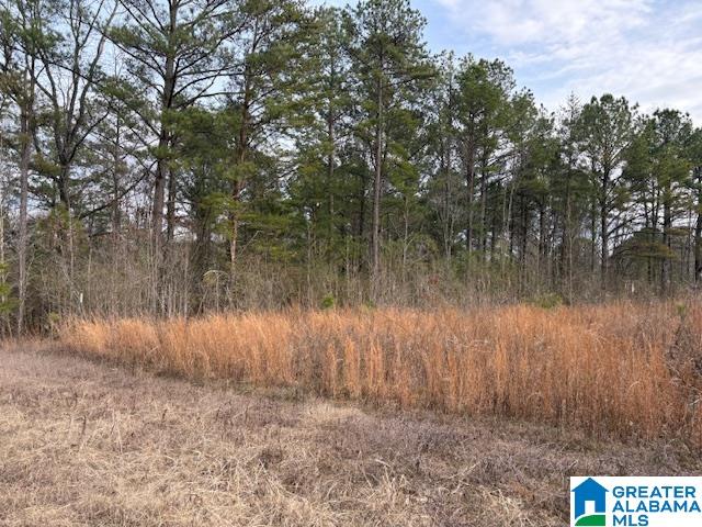 Homes for sale in Empire, AL | 0000 Hidden Lake Dr, Empire, AL 35063 | MLS# 21427727