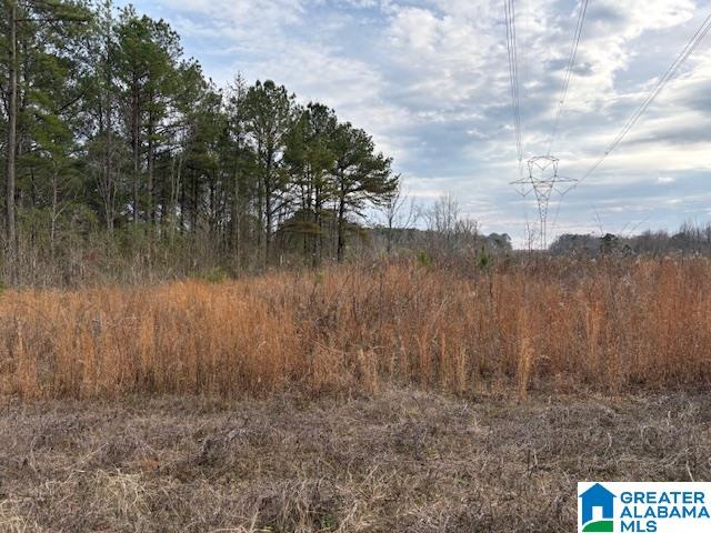 Homes for sale in Empire, AL | 0000 Hidden Lake Dr, Empire, AL 35063 | MLS# 21427727