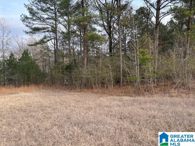 Homes for sale in Empire, AL | 0000 Hidden Lake Dr, Empire, AL 35063 | MLS# 21427727