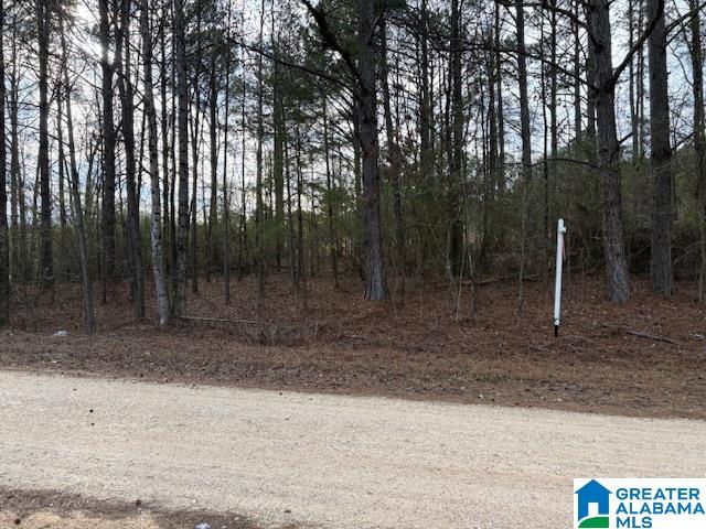 Homes for sale in Empire, AL | 0000 Hidden Lake Dr, Empire, AL 35063 | MLS# 21427727