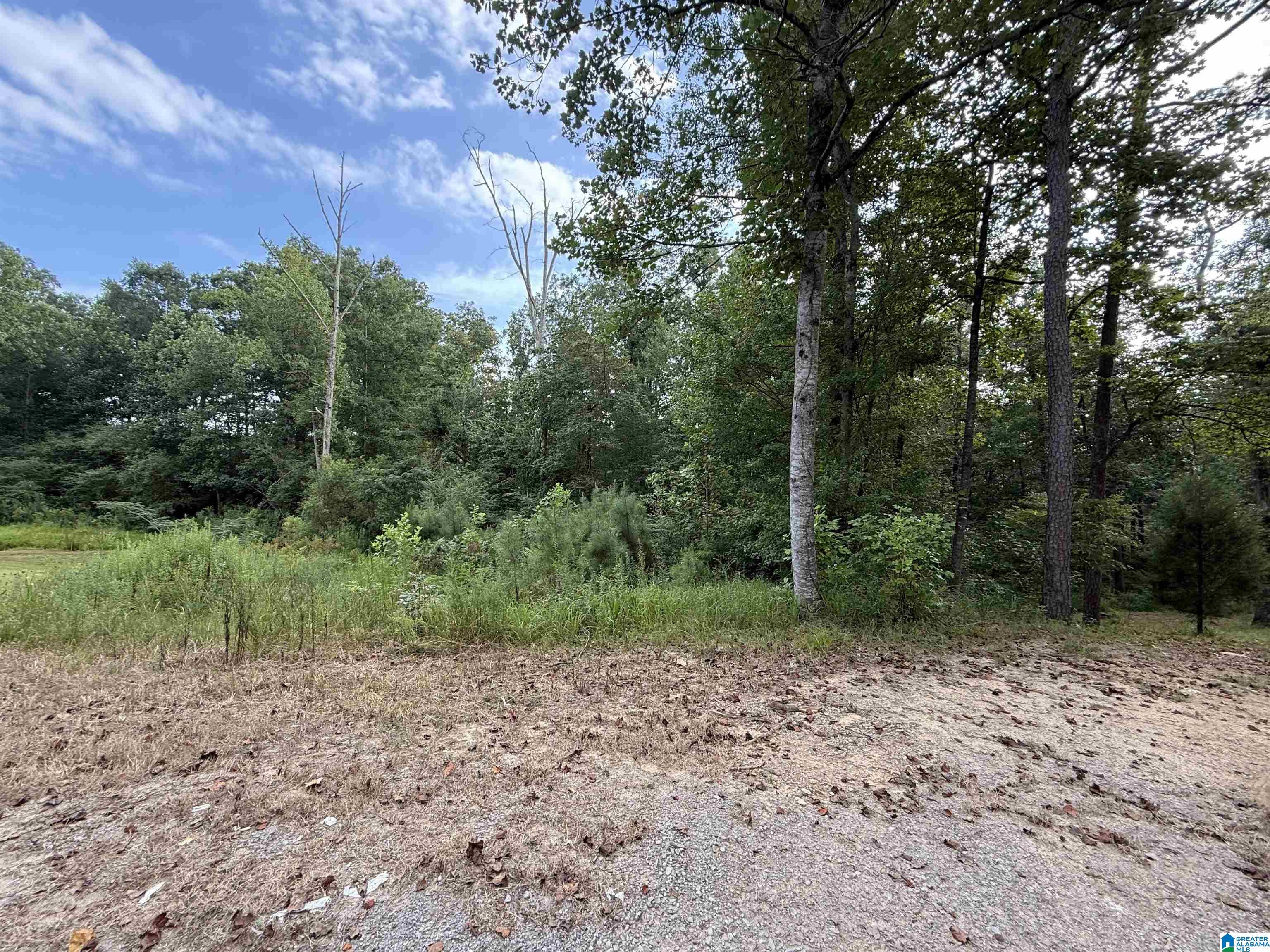 0.66AC COUNTY ROAD 1606