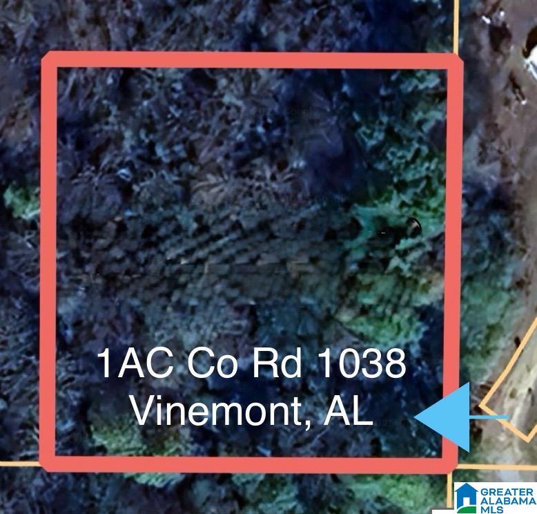 1AC COUNTY ROAD 1038