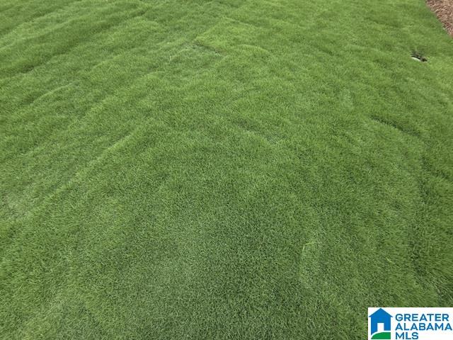 30th image of 238 Ashland Dr Sw, Hanceville, AL 35077 | MLS# 21428085
