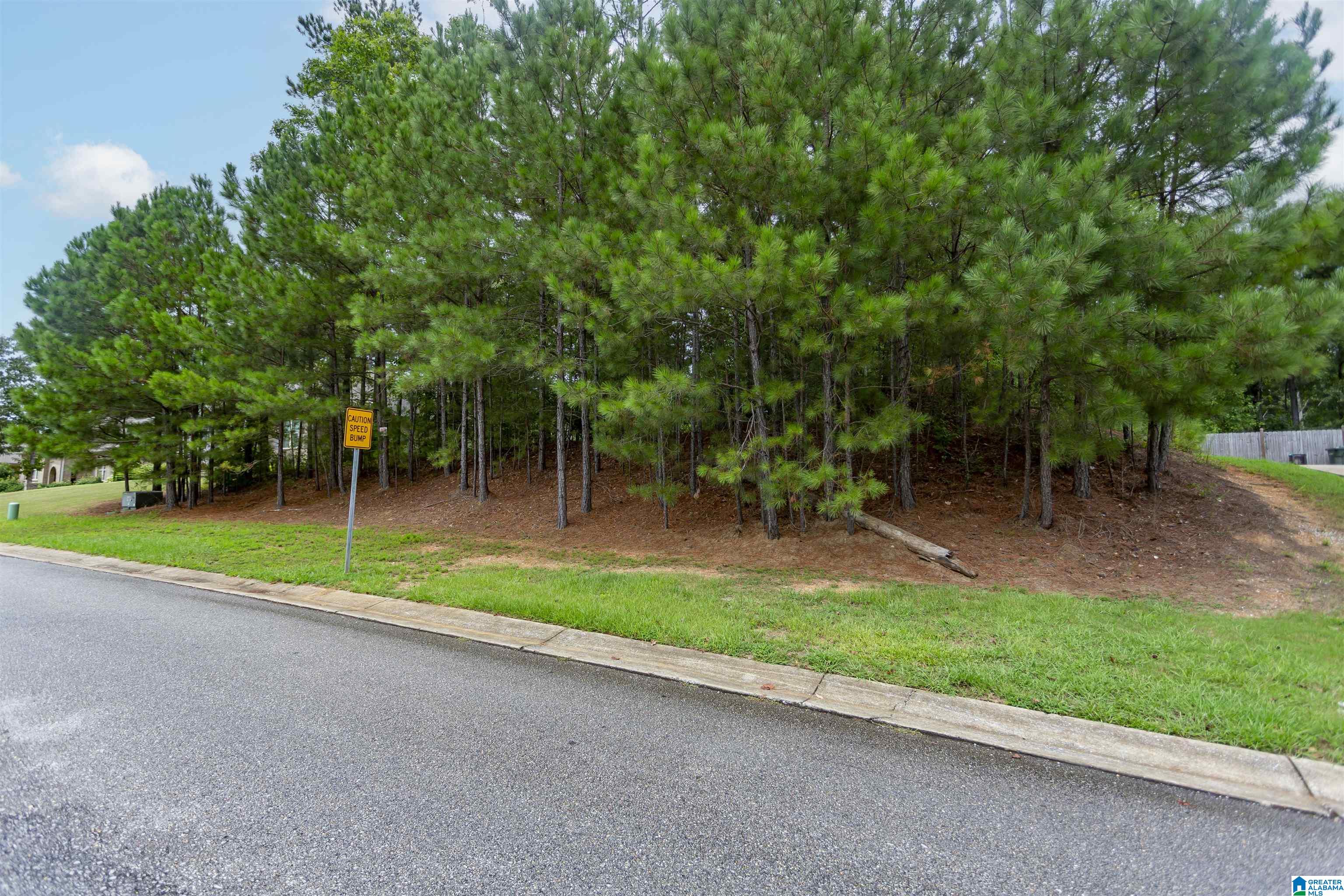 293 WOODBRIDGE TRAIL