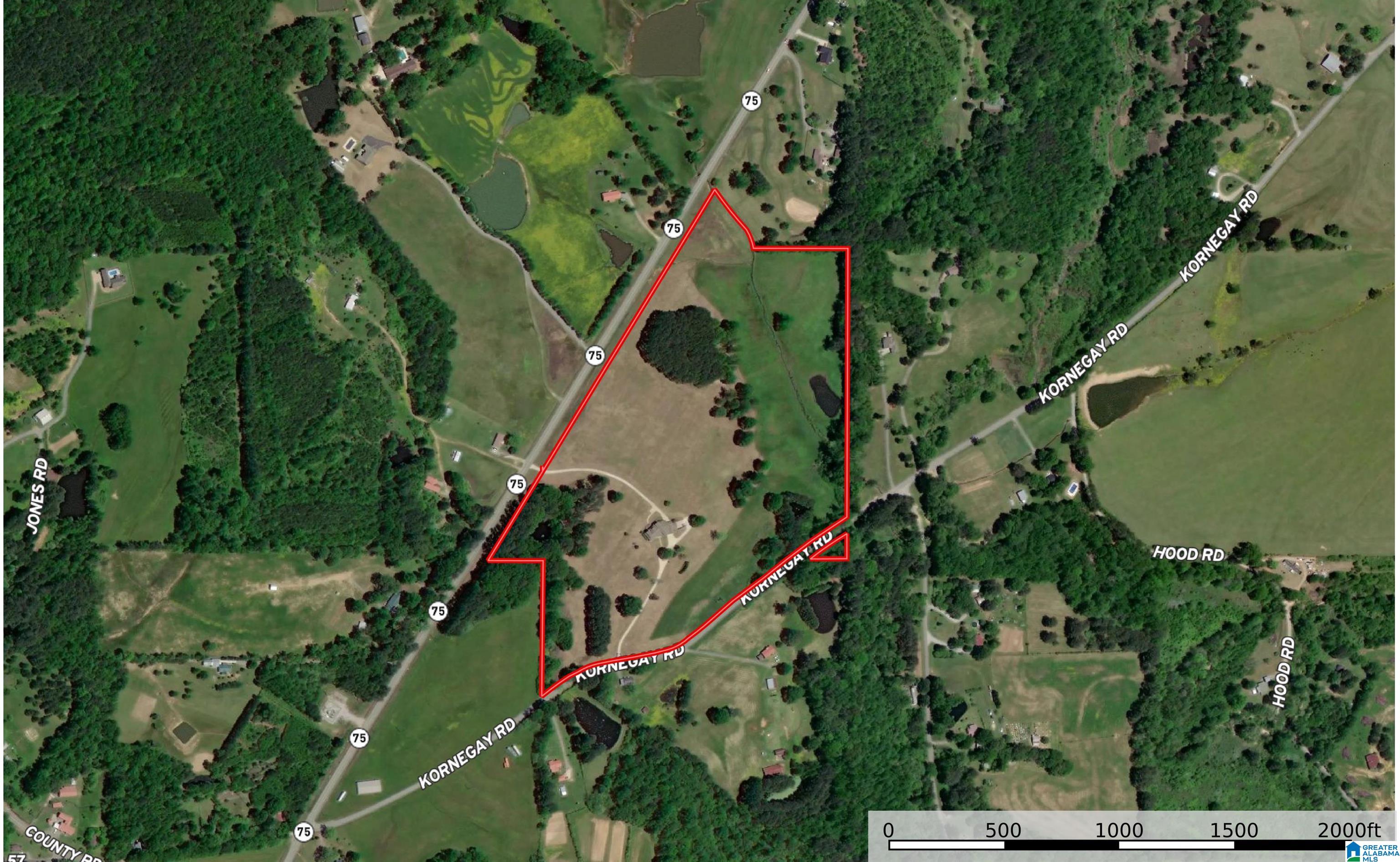 69th image of 301 Kornegay Road, Oneonta, AL 35121 | MLS# 21428748