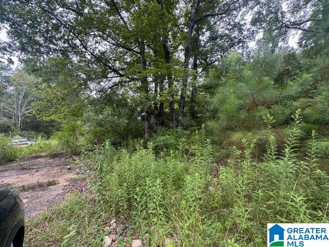 204 COUNTY ROAD