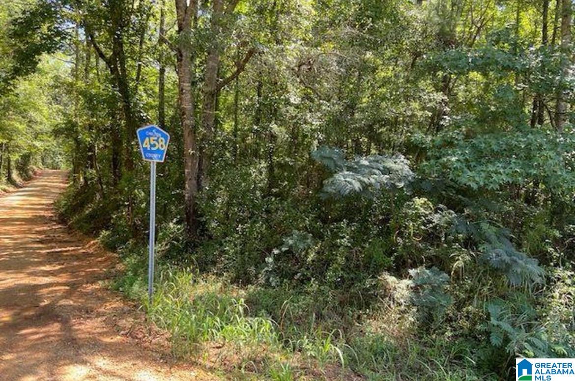 0 county rd 458 COUNTY ROAD