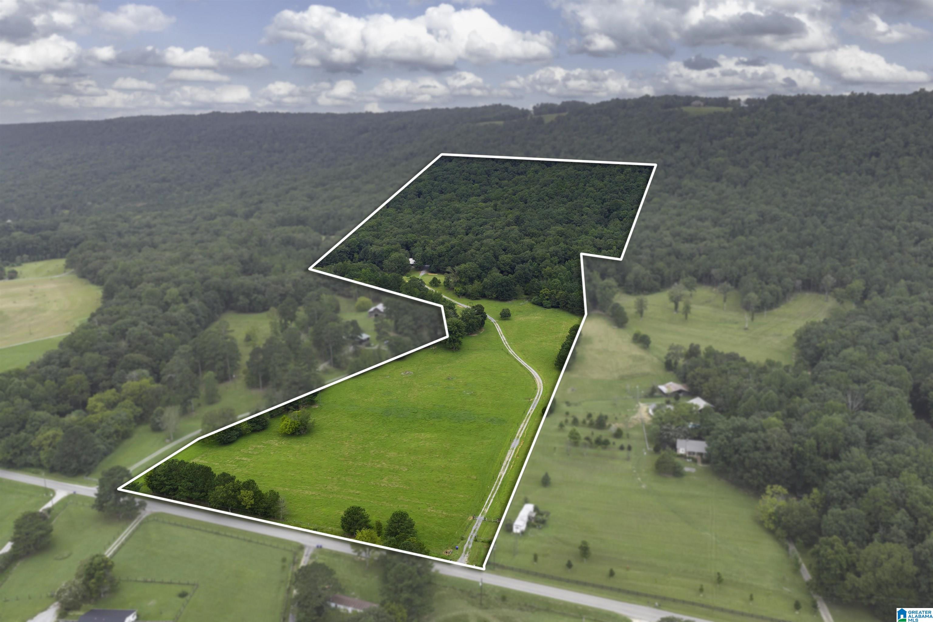 69th image of 1187 Crawfords Cove Road, Springville, AL 35146 | MLS# 21429314