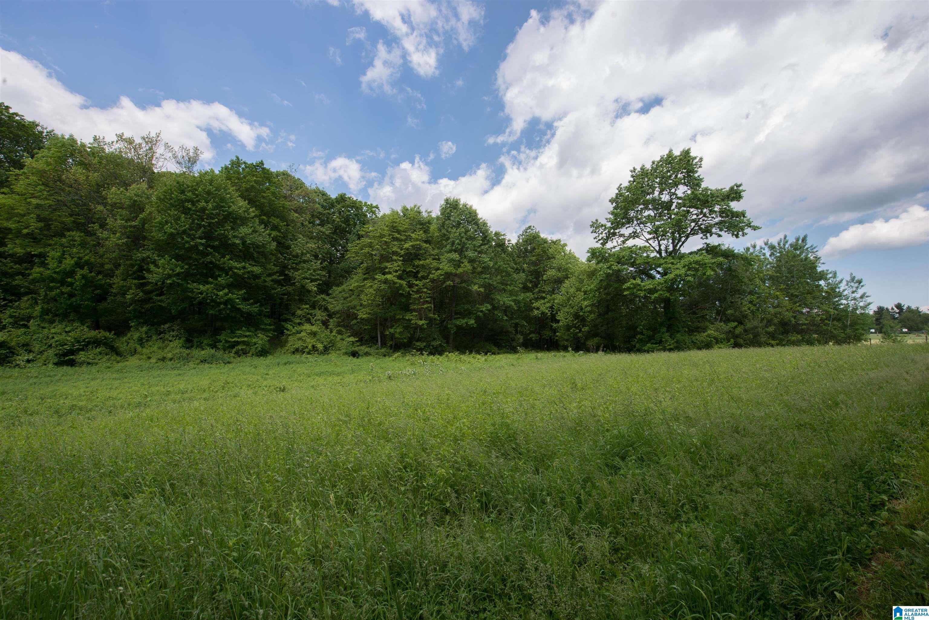 4160 CENTER POINT ROAD