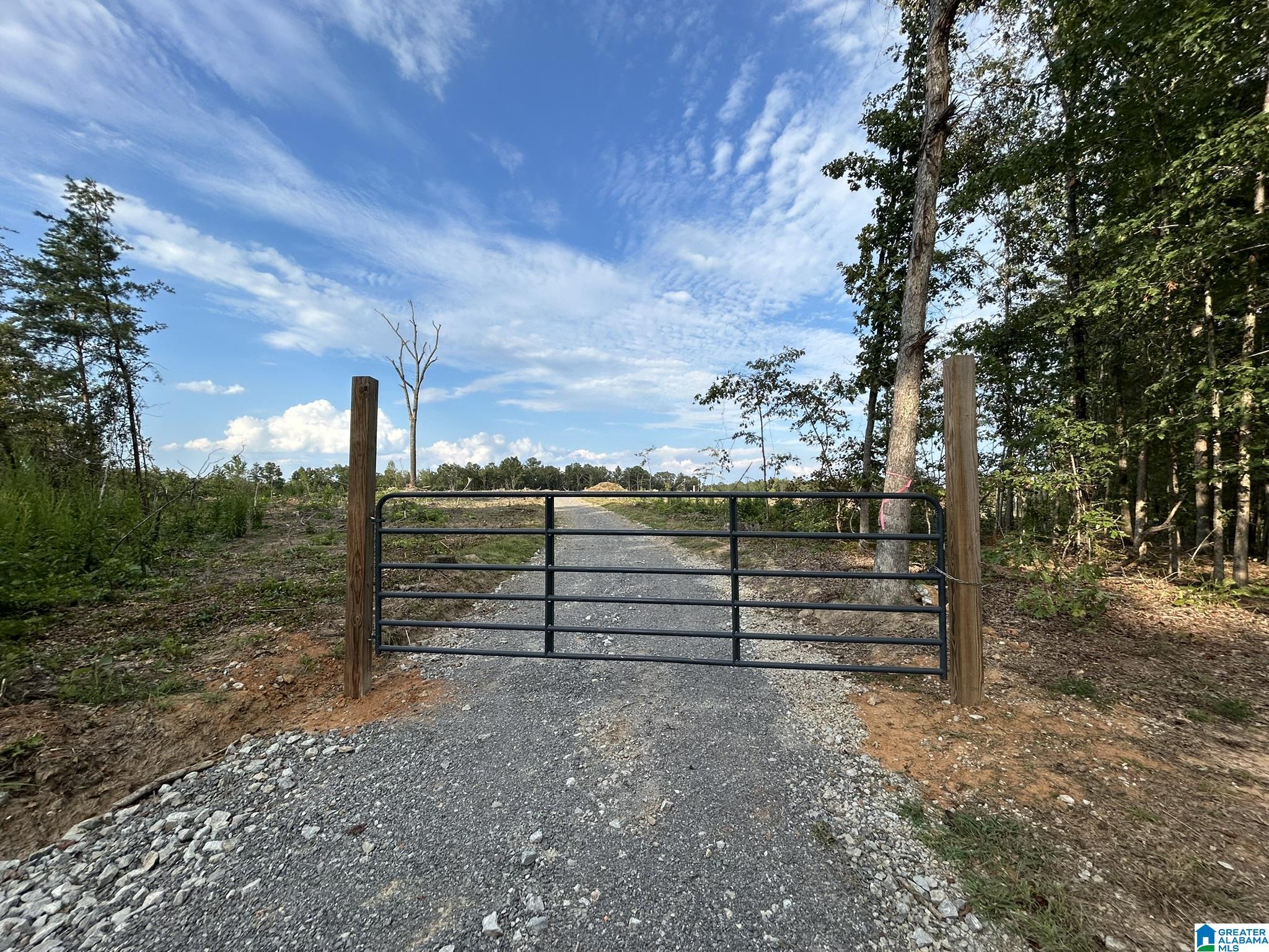 12179 DEER CHASE ROAD