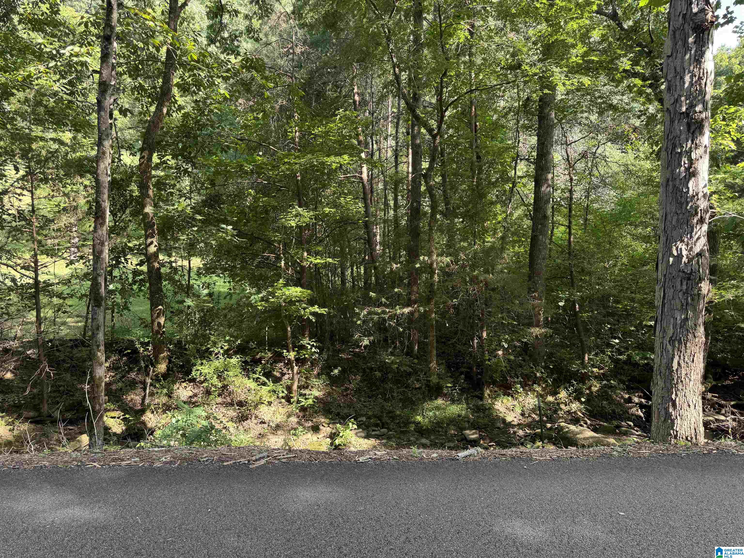Photo 1 of Land for sale at 5615 Miles Spring Road, Pinson, AL 35126 | MLS# 21430045 | Listing updated on 2026-08-31