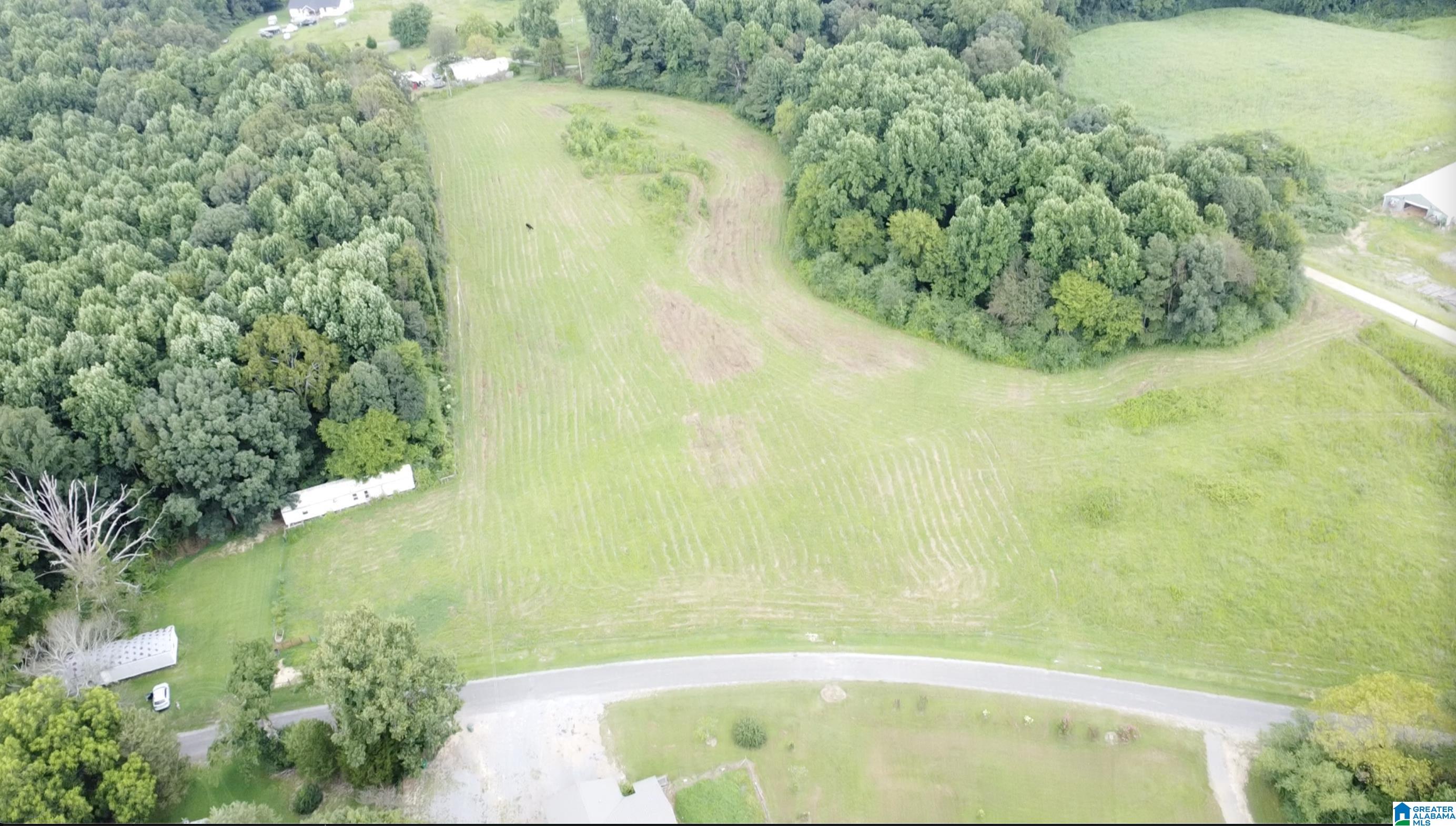 Homes for sale in Vinemont, AL | 0 County Road 1105, Vinemont, AL 35179 | MLS# 21430181