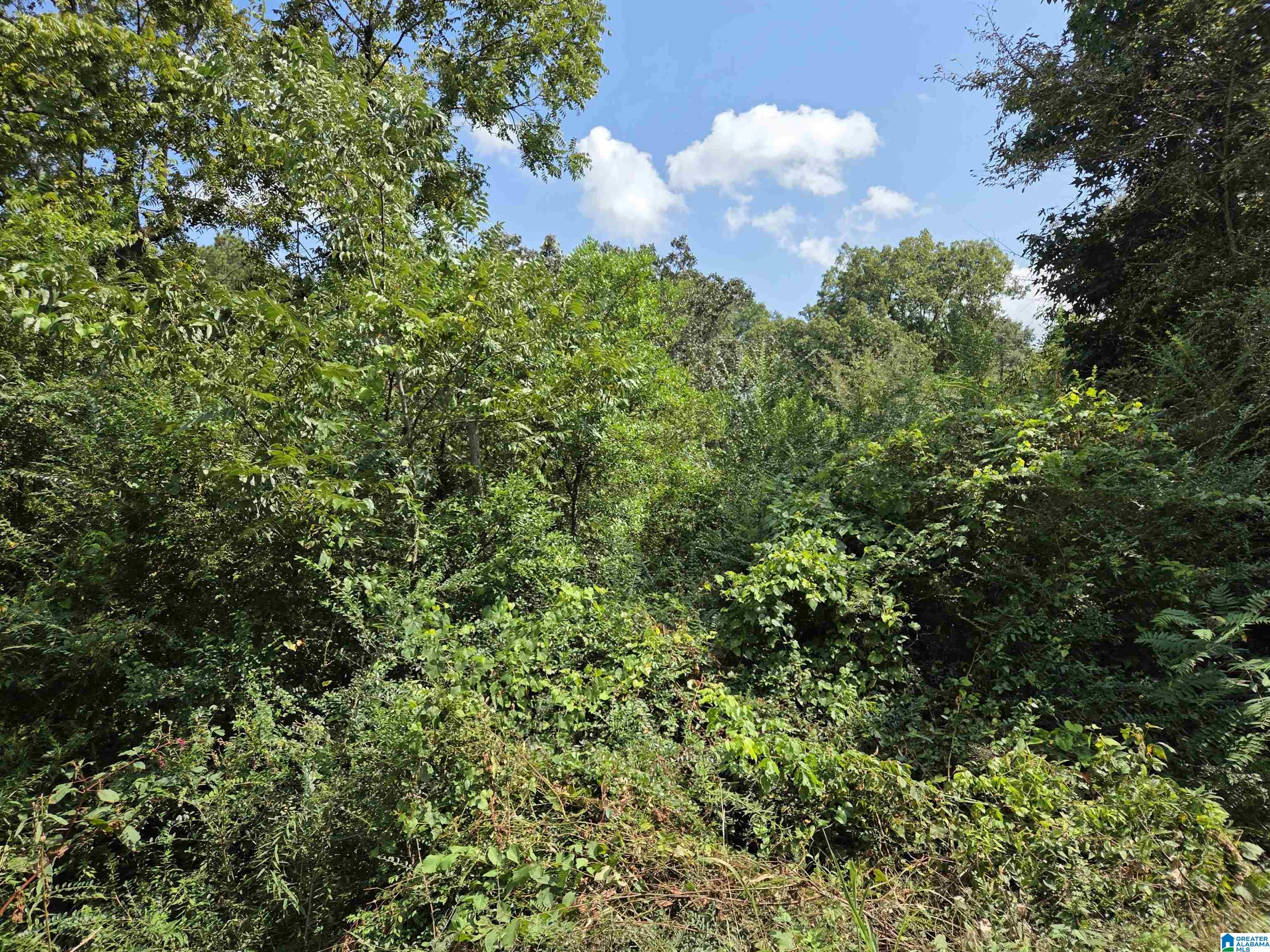 0 FINLEY AVENUE