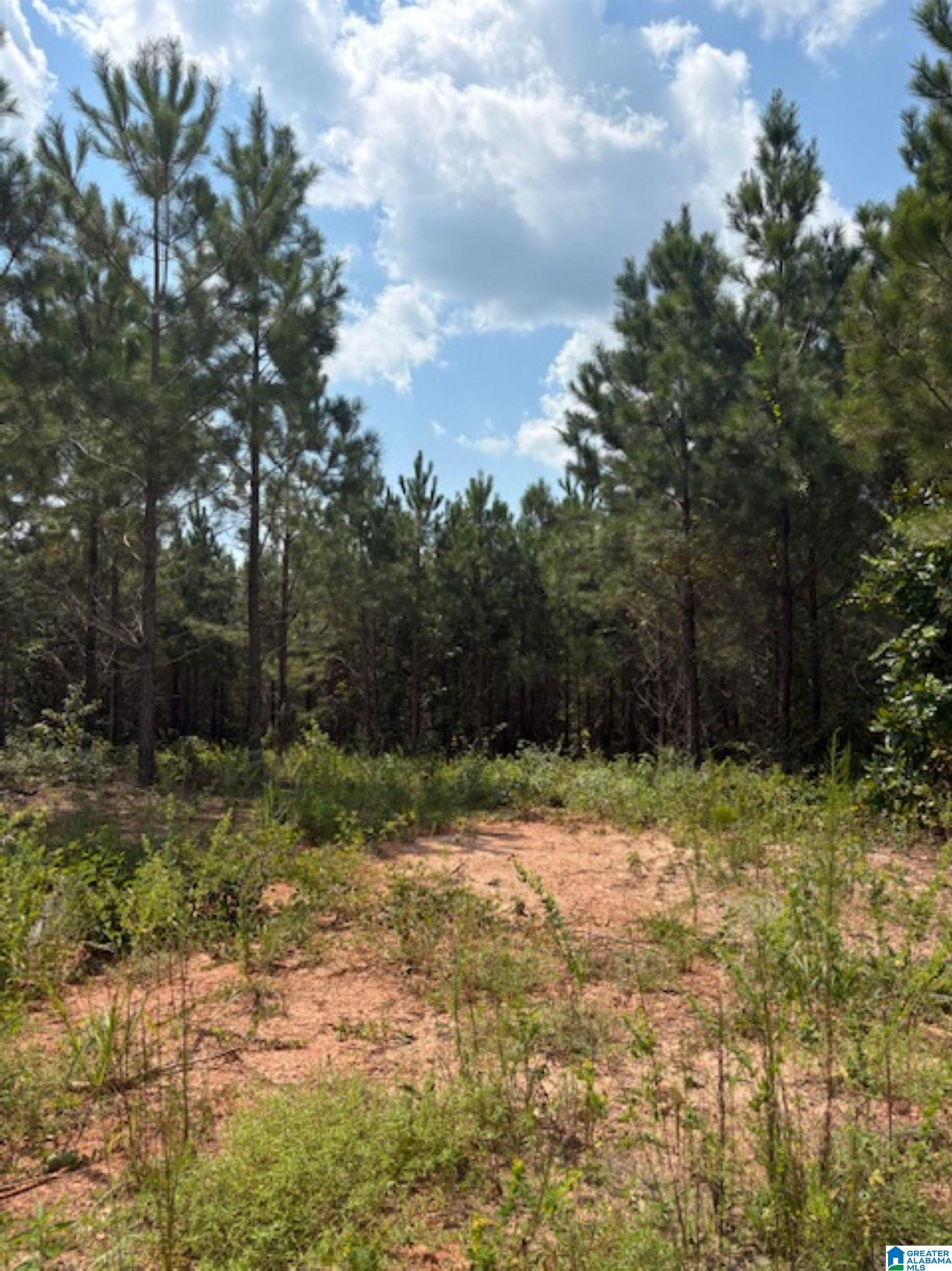 COUNTY ROAD 472