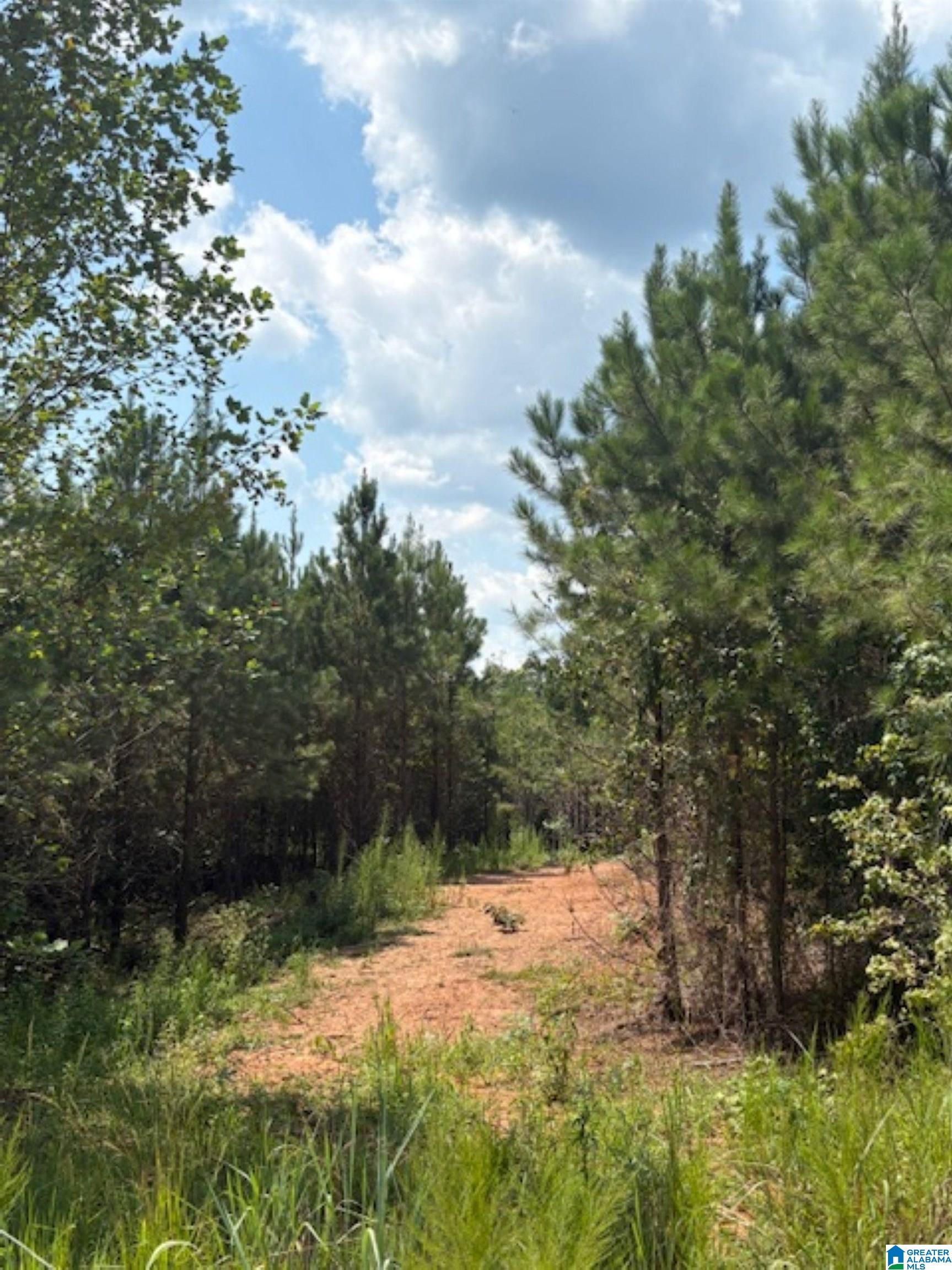 COUNTY ROAD 472