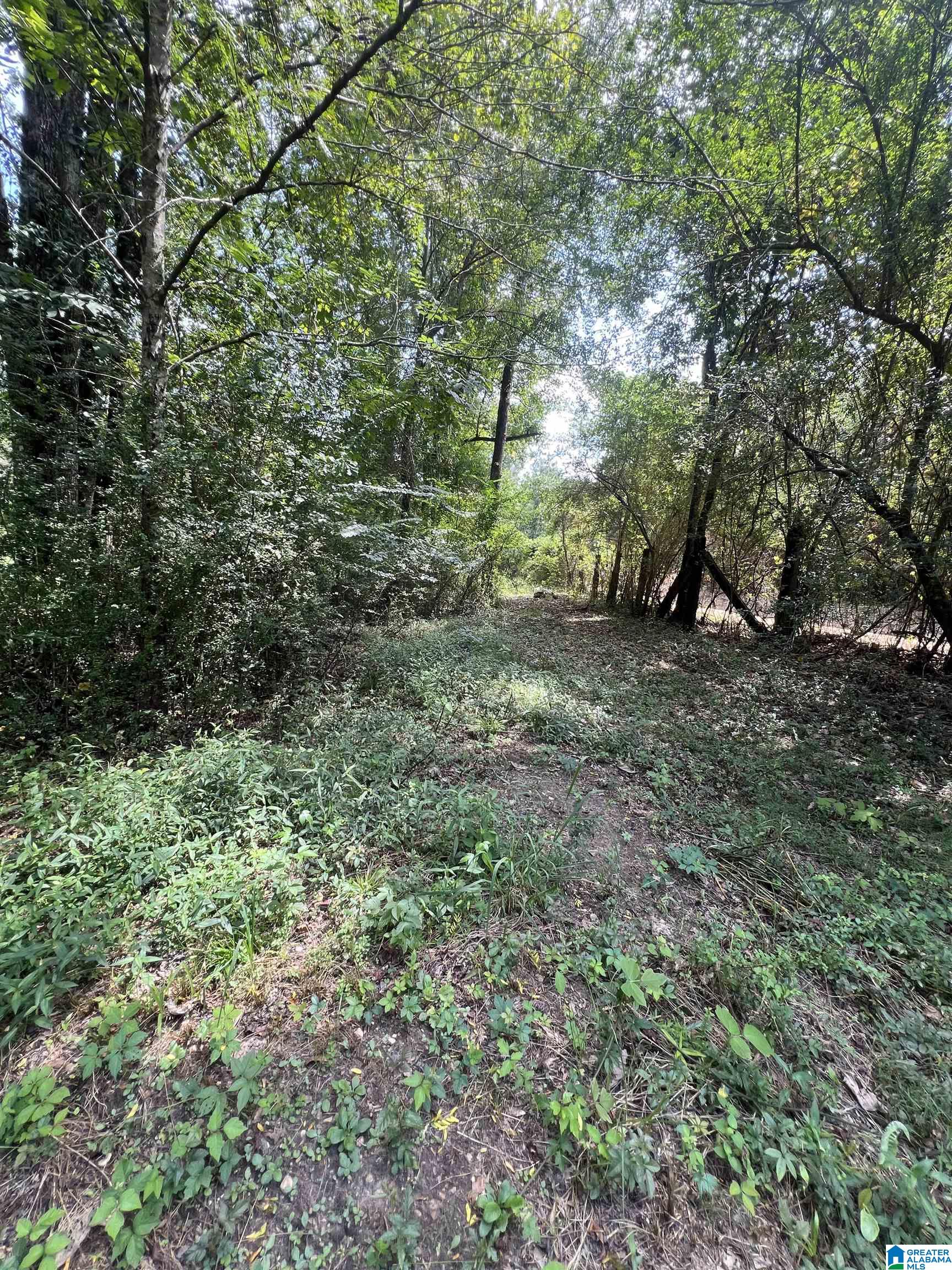 2475 COUNTY ROAD 228