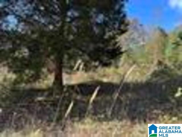 580 COUNTY ROAD 209