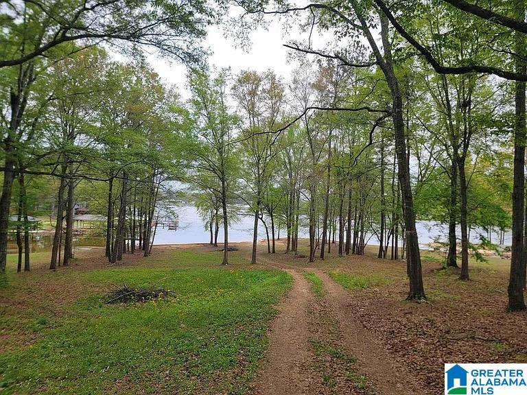 Homes for sale in Vincent, AL | 105 Rivercrest Lane, Vincent, AL 35178 | MLS# 21430855