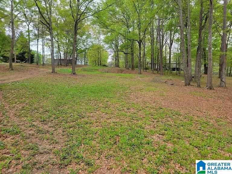 Homes for sale in Vincent, AL | 105 Rivercrest Lane, Vincent, AL 35178 | MLS# 21430855