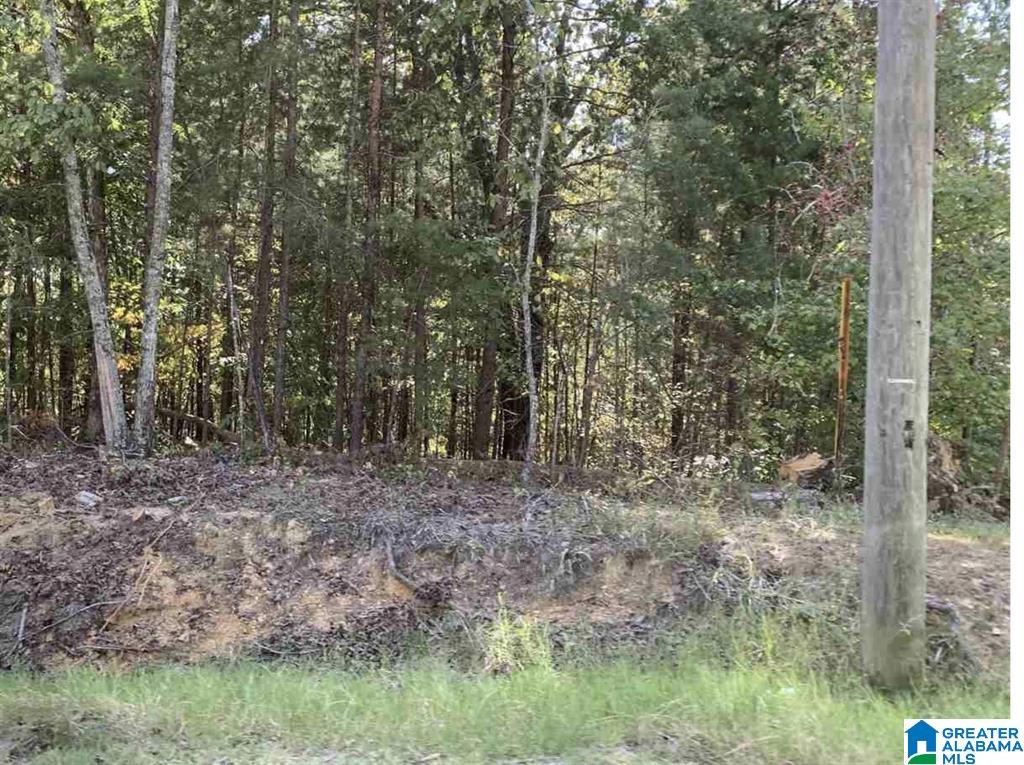 8660 PINE MOUNTAIN ROAD