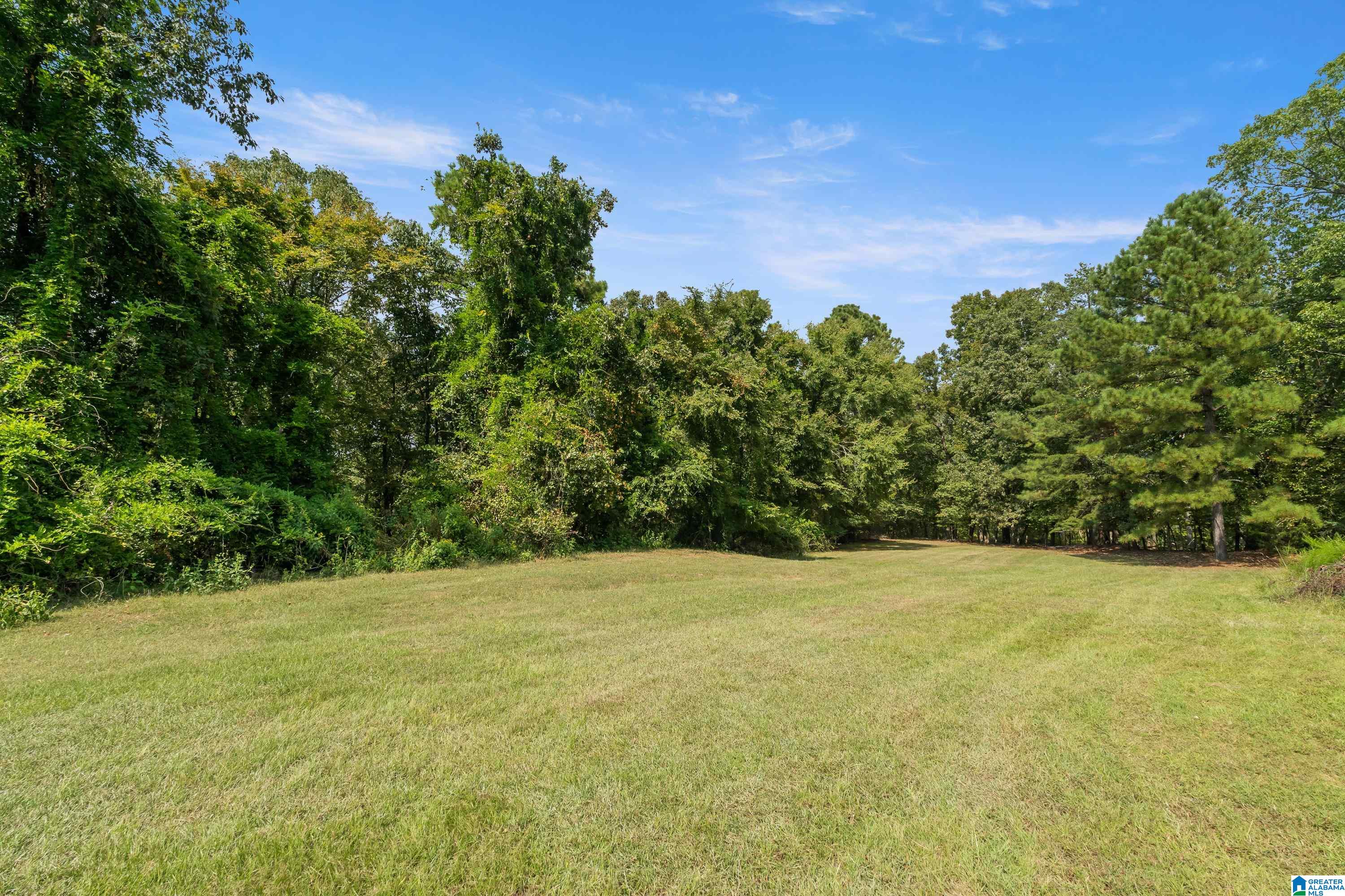 61st image of 5232 S South Shades Crest Road, Helena, AL 35080 | MLS# 21431382