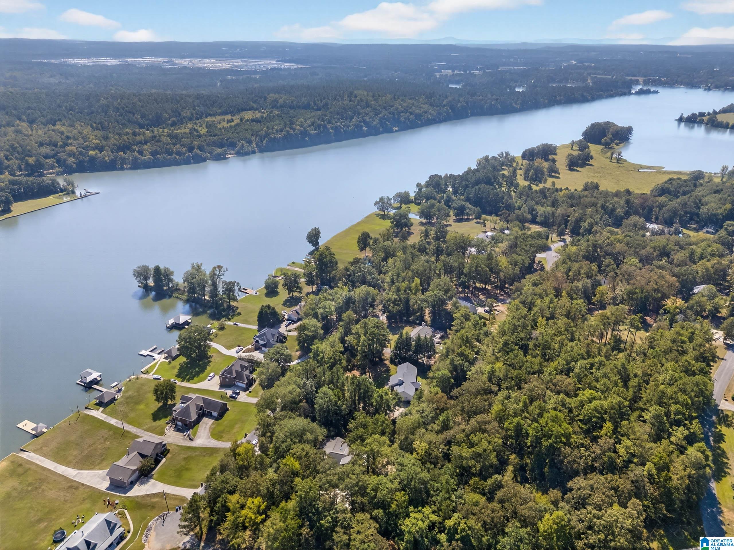 Homes for sale in Riverside, AL | 1105 Lock 4 Road, Riverside, AL 35135 | MLS# 21431805