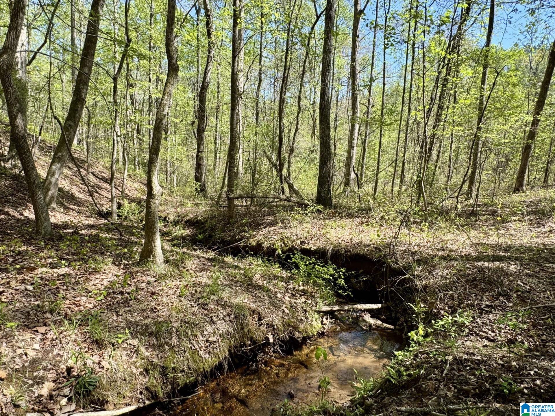 Tract 2 COUNTY ROAD 268