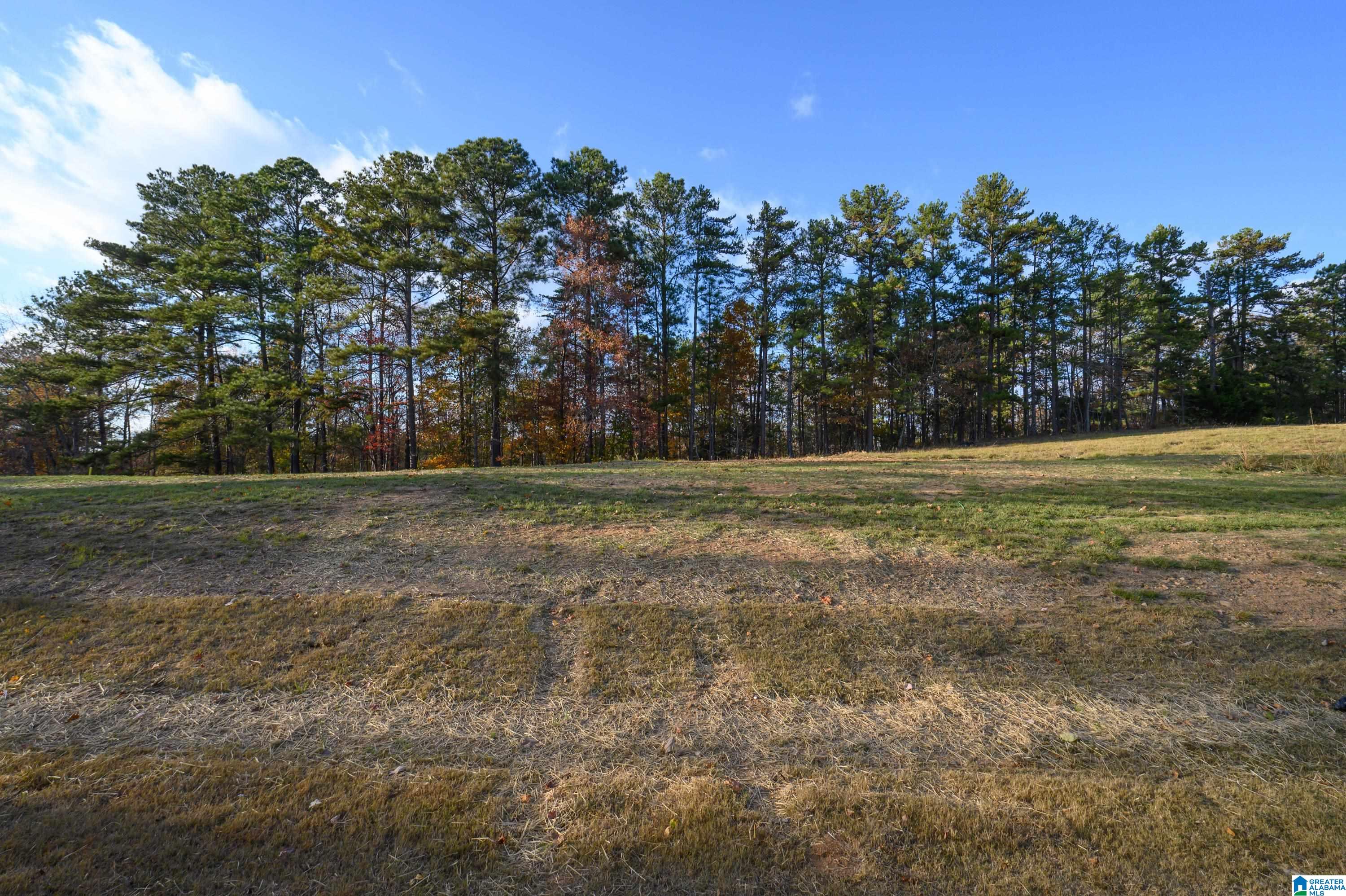 3rd image of 6714 Mossy Oak Cove, Trussville, AL 35173 | MLS# 21431966