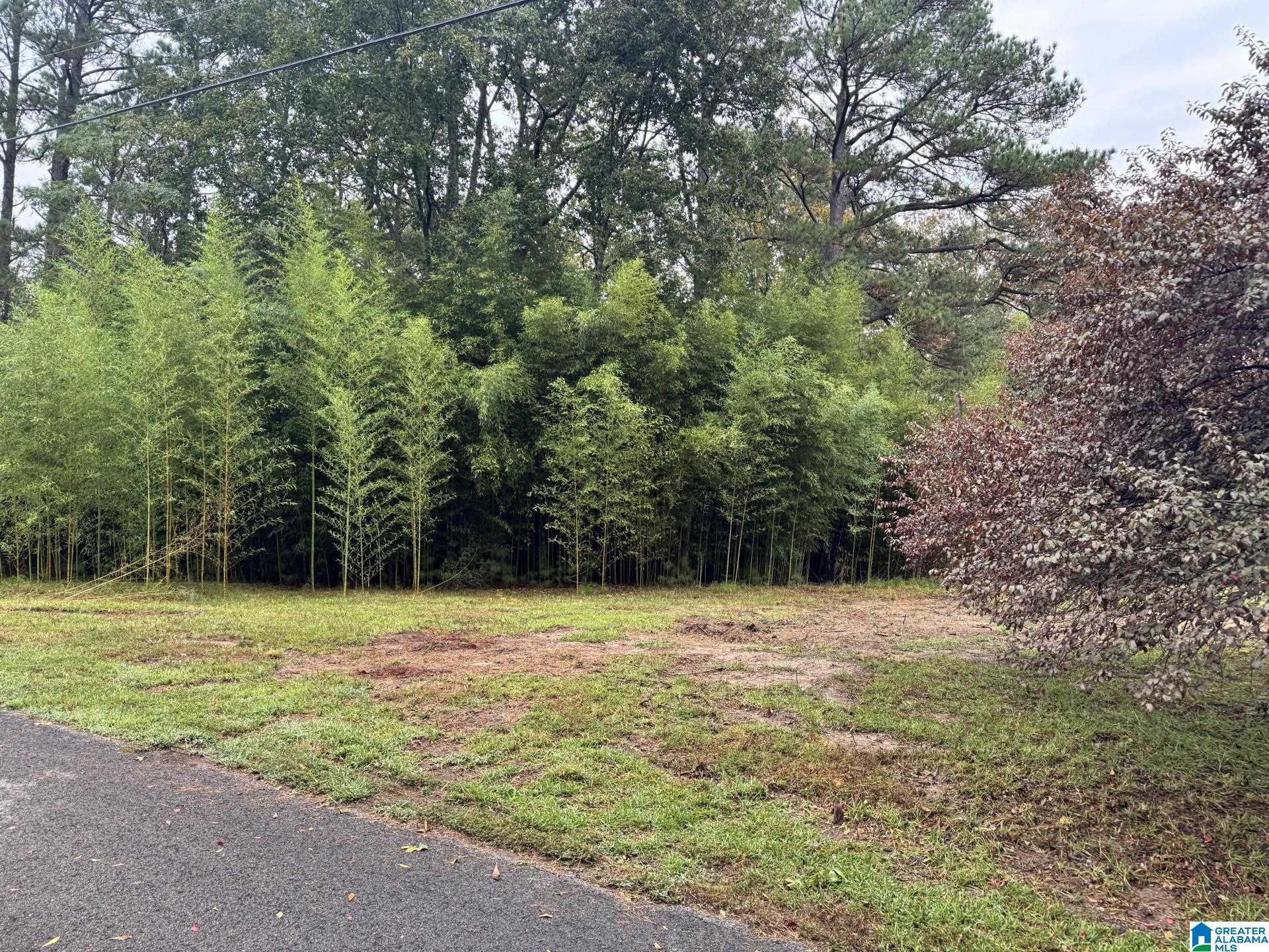 Photo 2 of Land for sale at 159 Brandy Ln, Mulga, AL 35118 | MLS# 21432019 | Listing updated on 2026-04-10