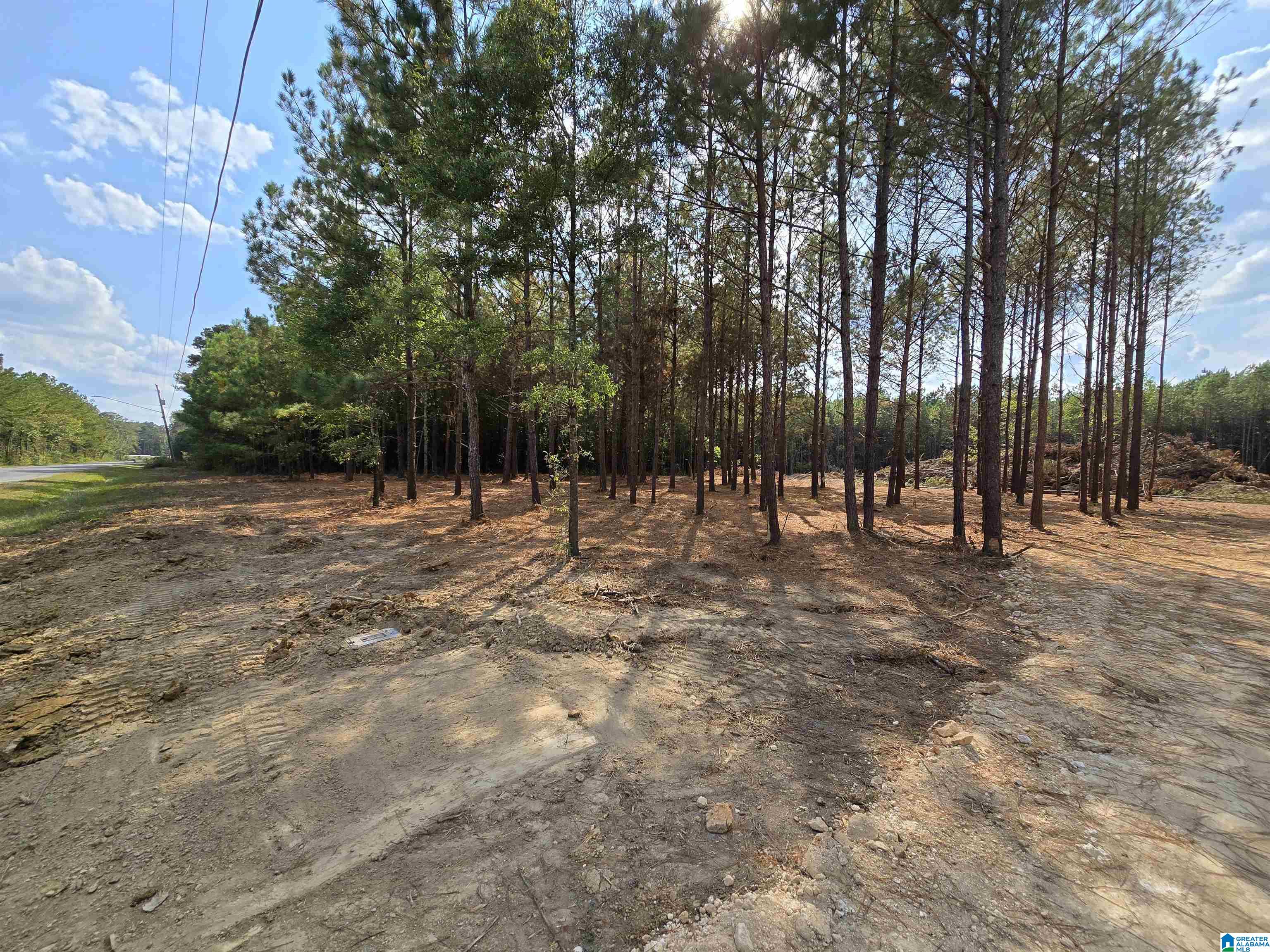 5.88 Acres COVINGTON AVENUE SE