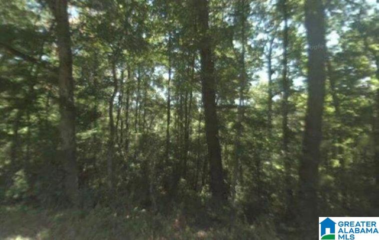 1641 HIGHWAY 160