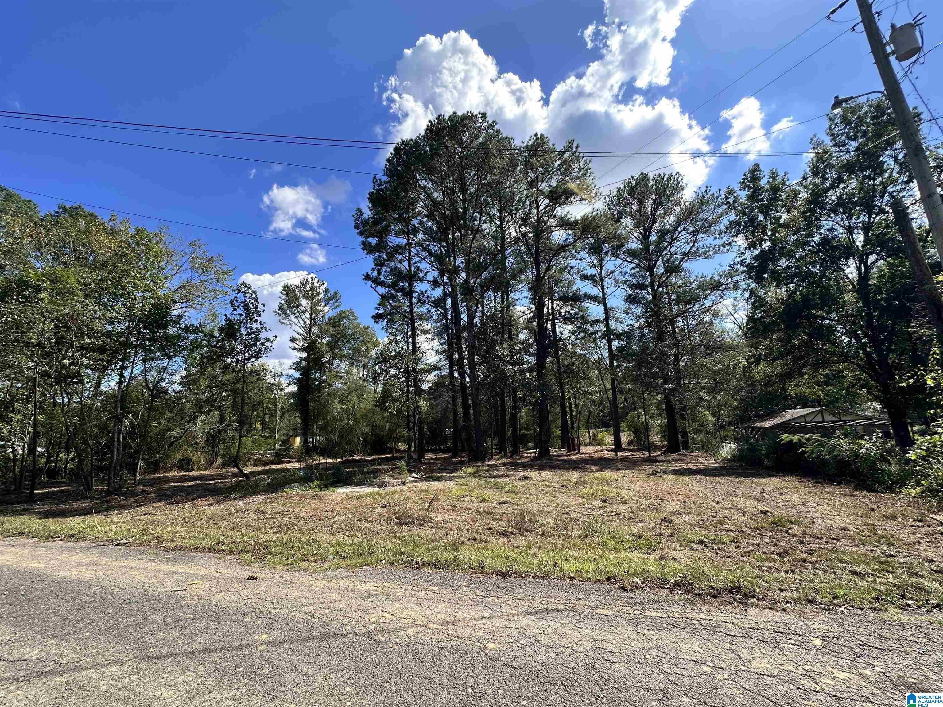 Photo 1 of Land for sale at 4021 Dusty Lane, Bessemer, AL 35022 | MLS# 21432650 | Listing updated on 2026-03-05