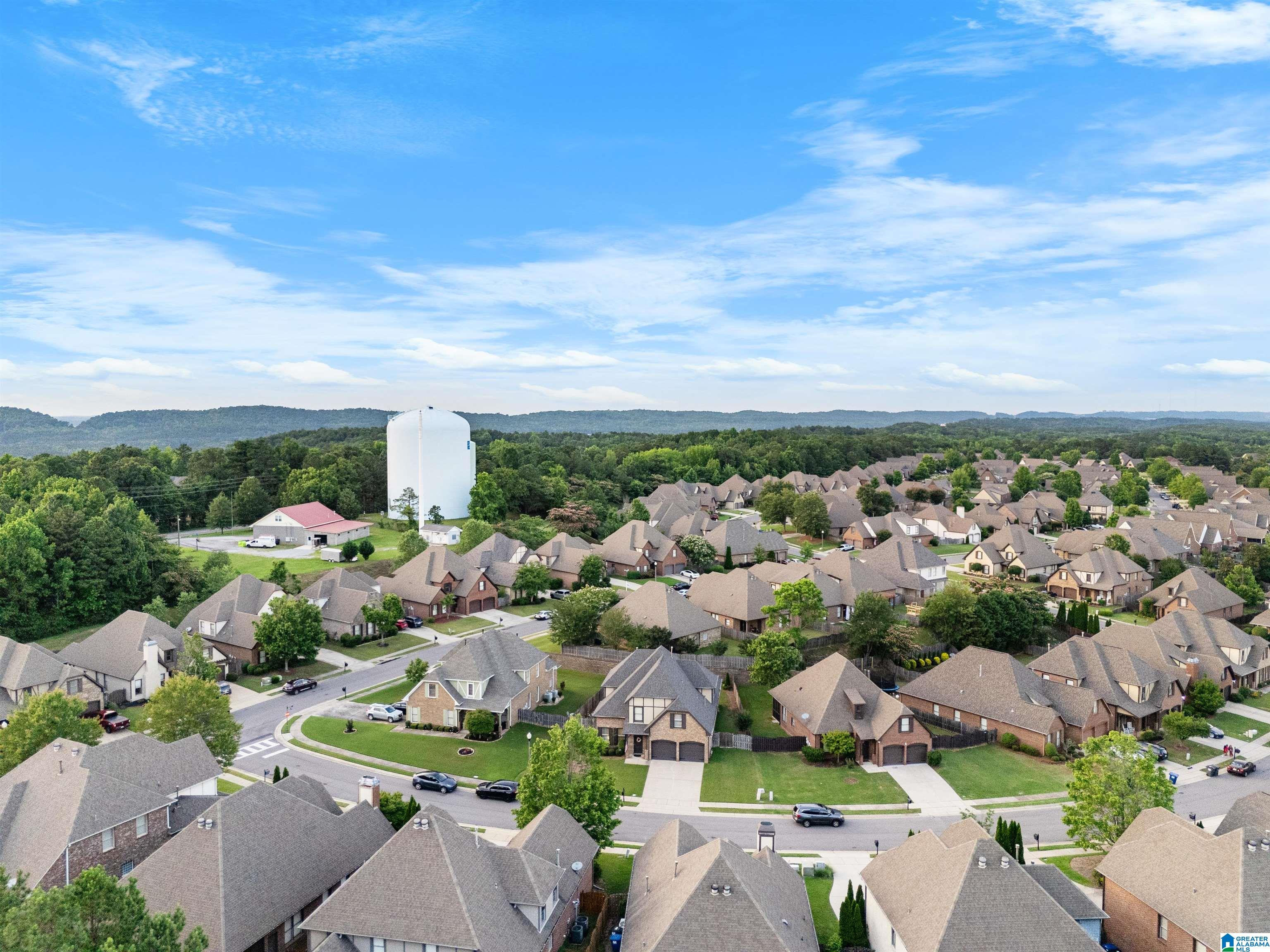 Homes for sale in Hoover, AL | 2297 Abbeyglen Lane, Hoover, AL 35226 | MLS# 21432709