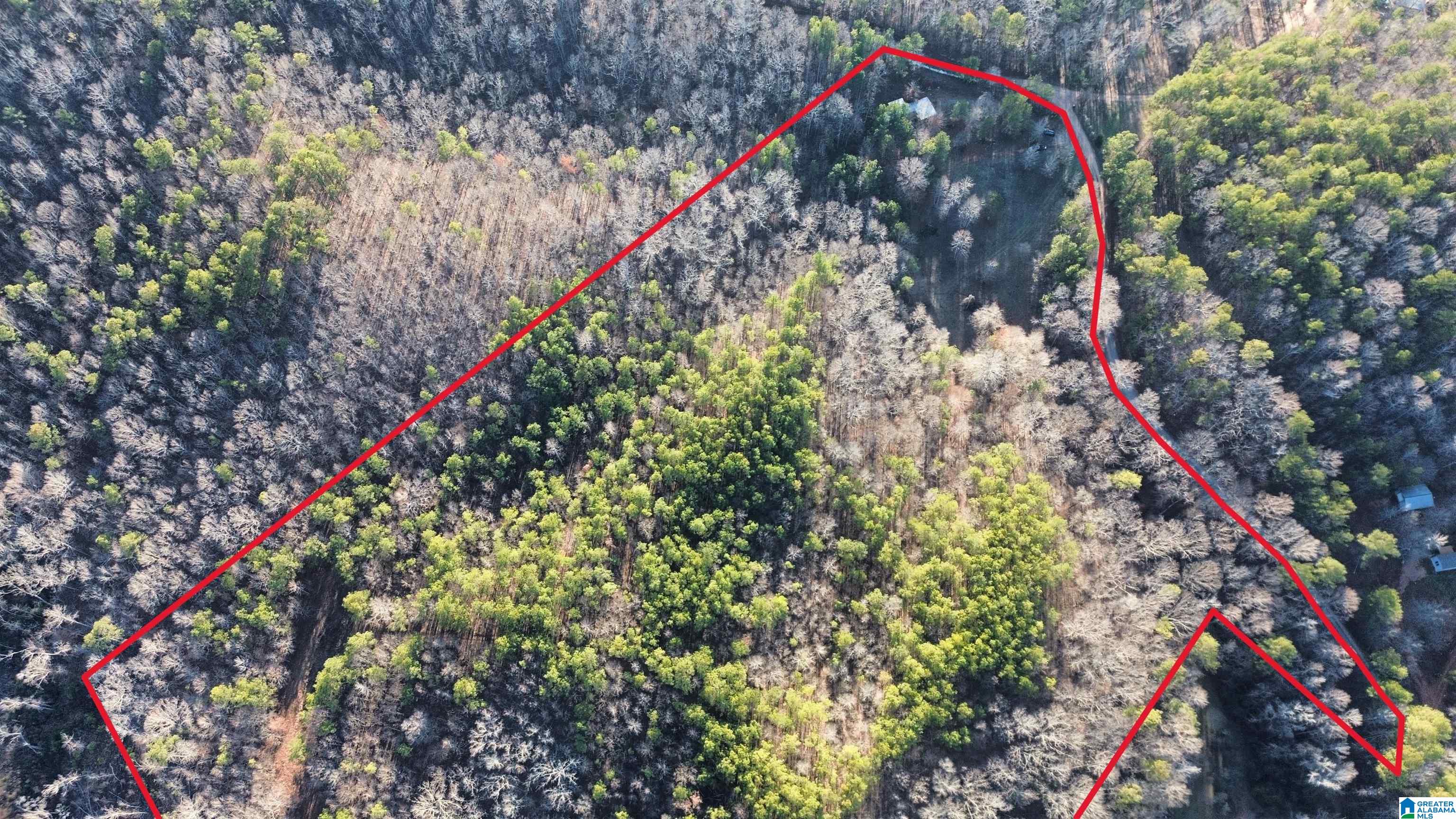 Homes for sale in Goodwater, AL | 612 Coosa County Road 117, Goodwater, AL 35072 | MLS# 21432857