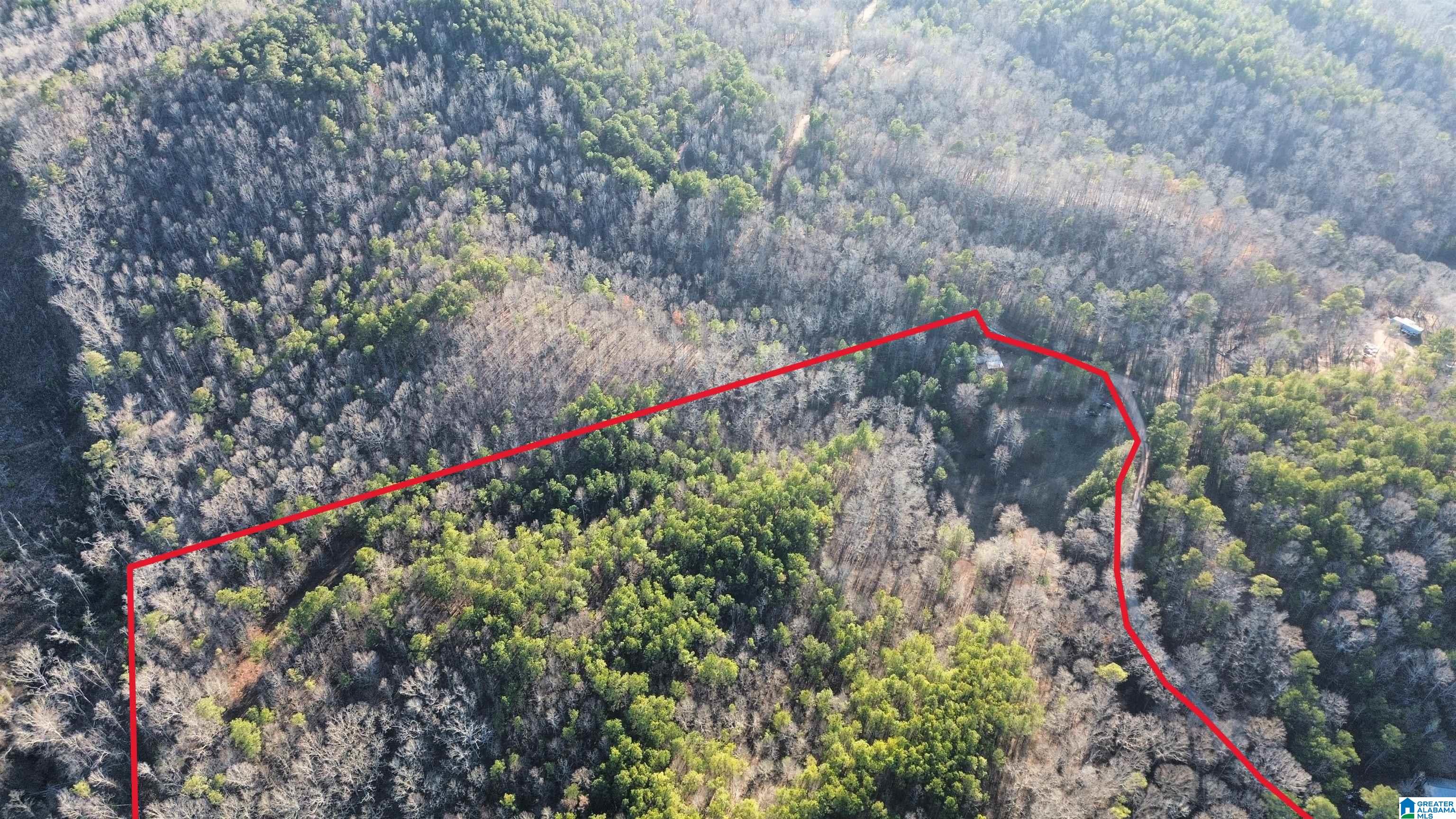 Homes for sale in Goodwater, AL | 612 Coosa County Road 117, Goodwater, AL 35072 | MLS# 21432857