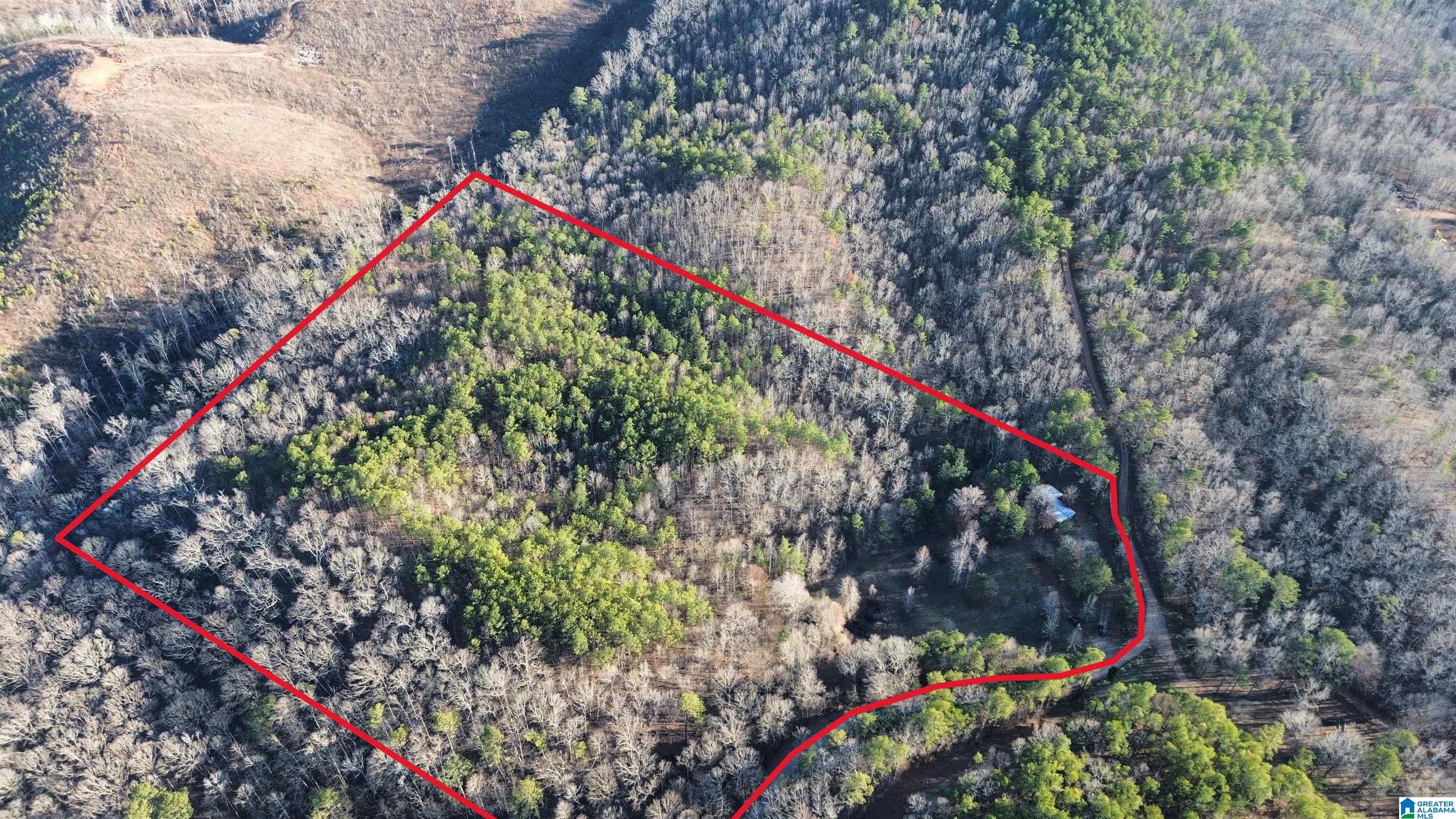 Homes for sale in Goodwater, AL | 612 Coosa County Road 117, Goodwater, AL 35072 | MLS# 21432857