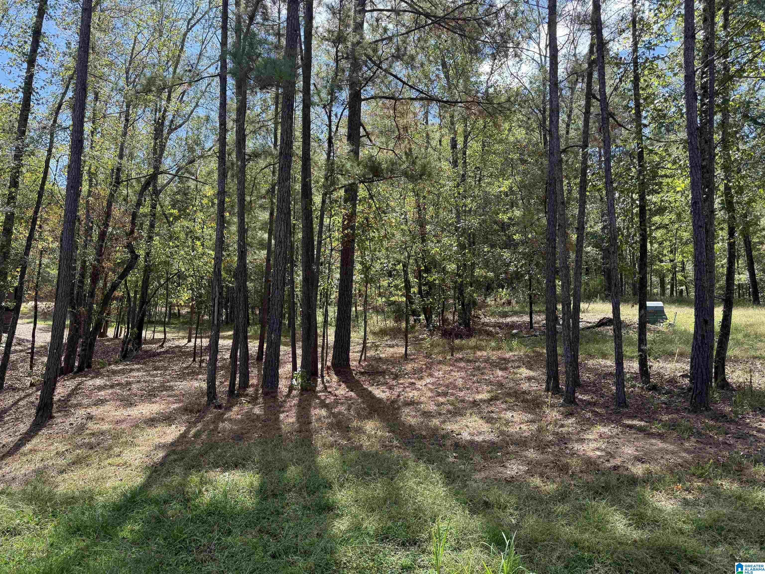 Lot3B CABIN ROAD