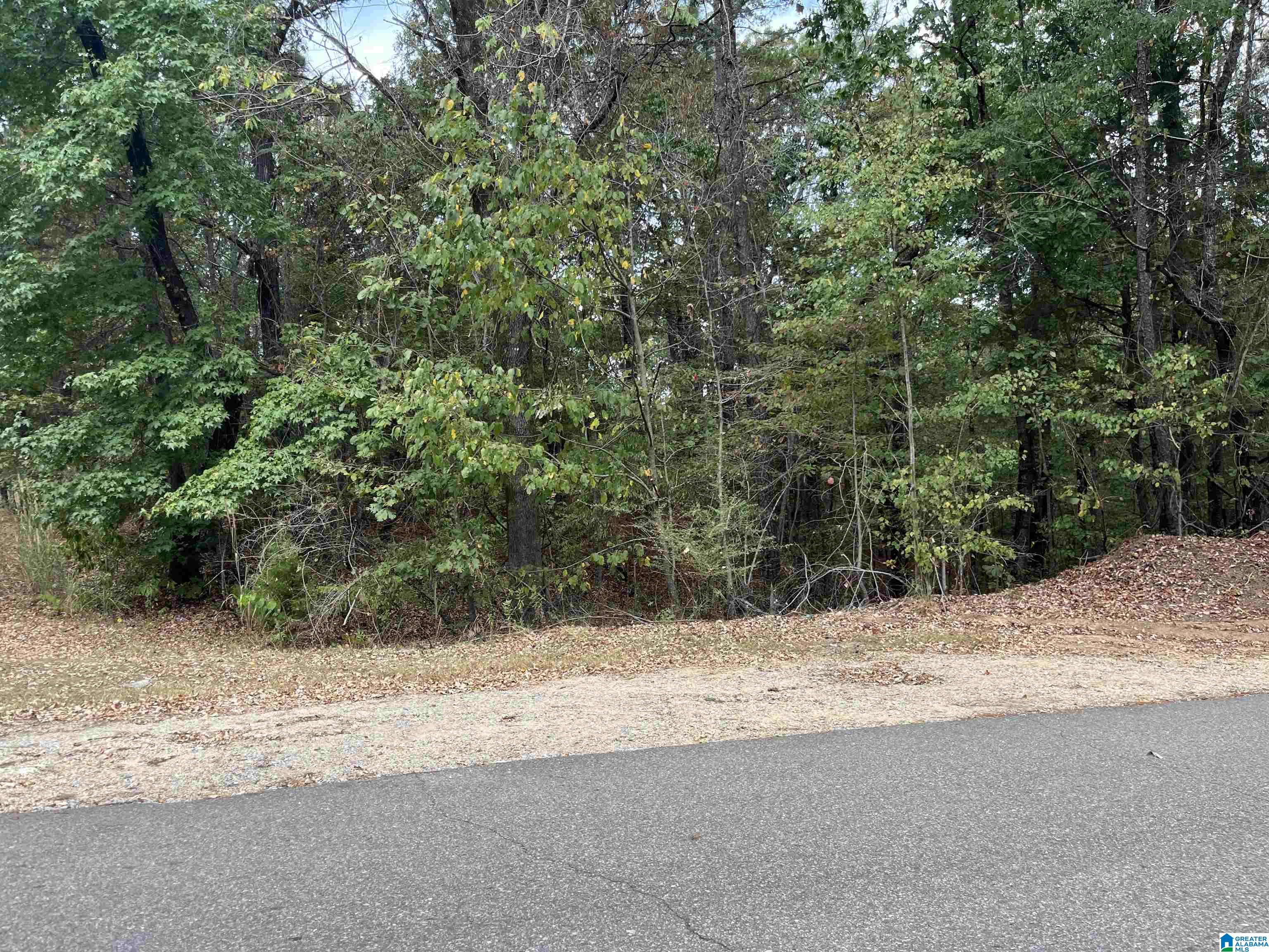 0 DEER CHASE ROAD