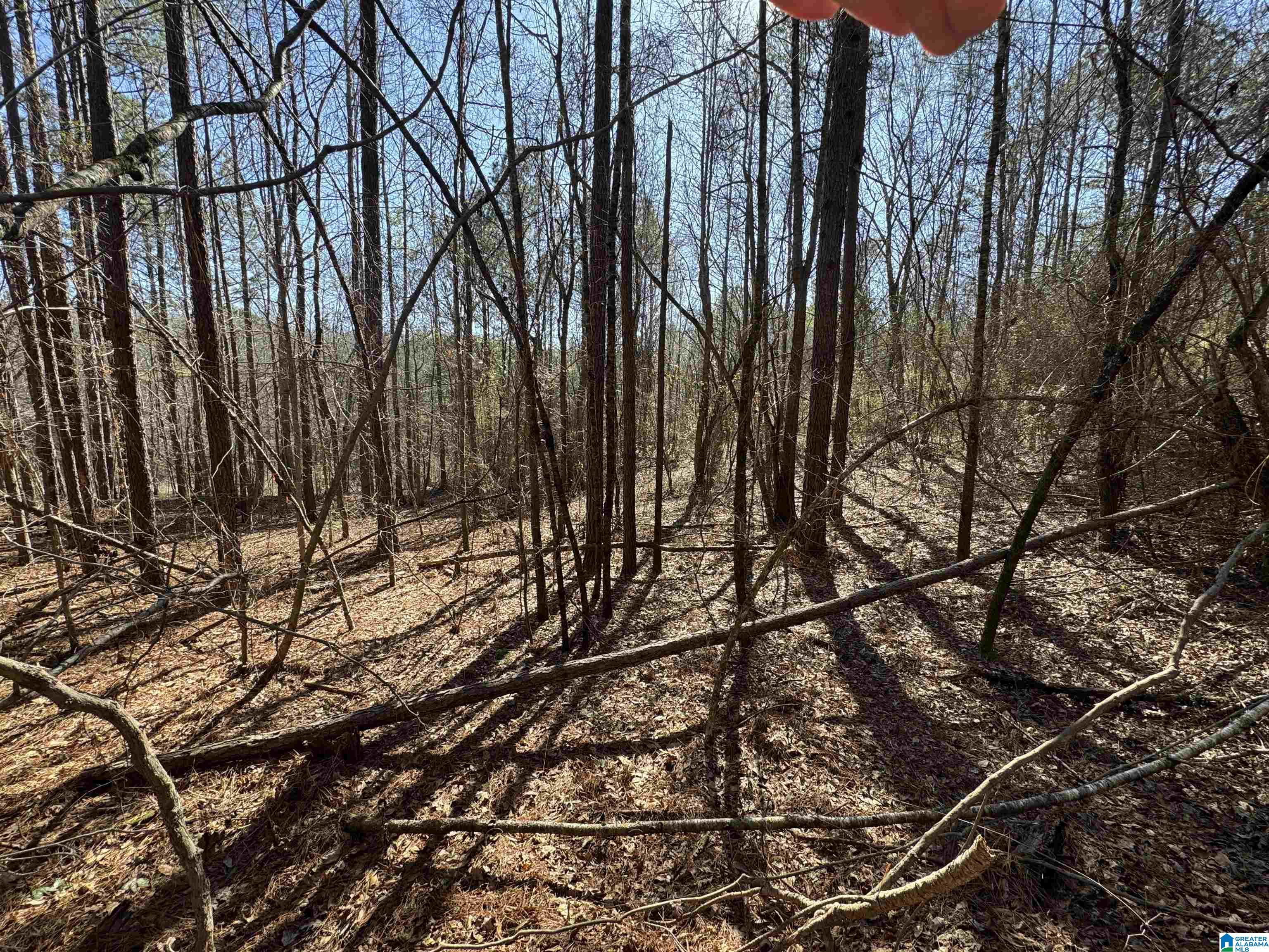 Homes for sale in Vance, AL | 0 Booler Road, Vance, AL 35490 | MLS# 21433454