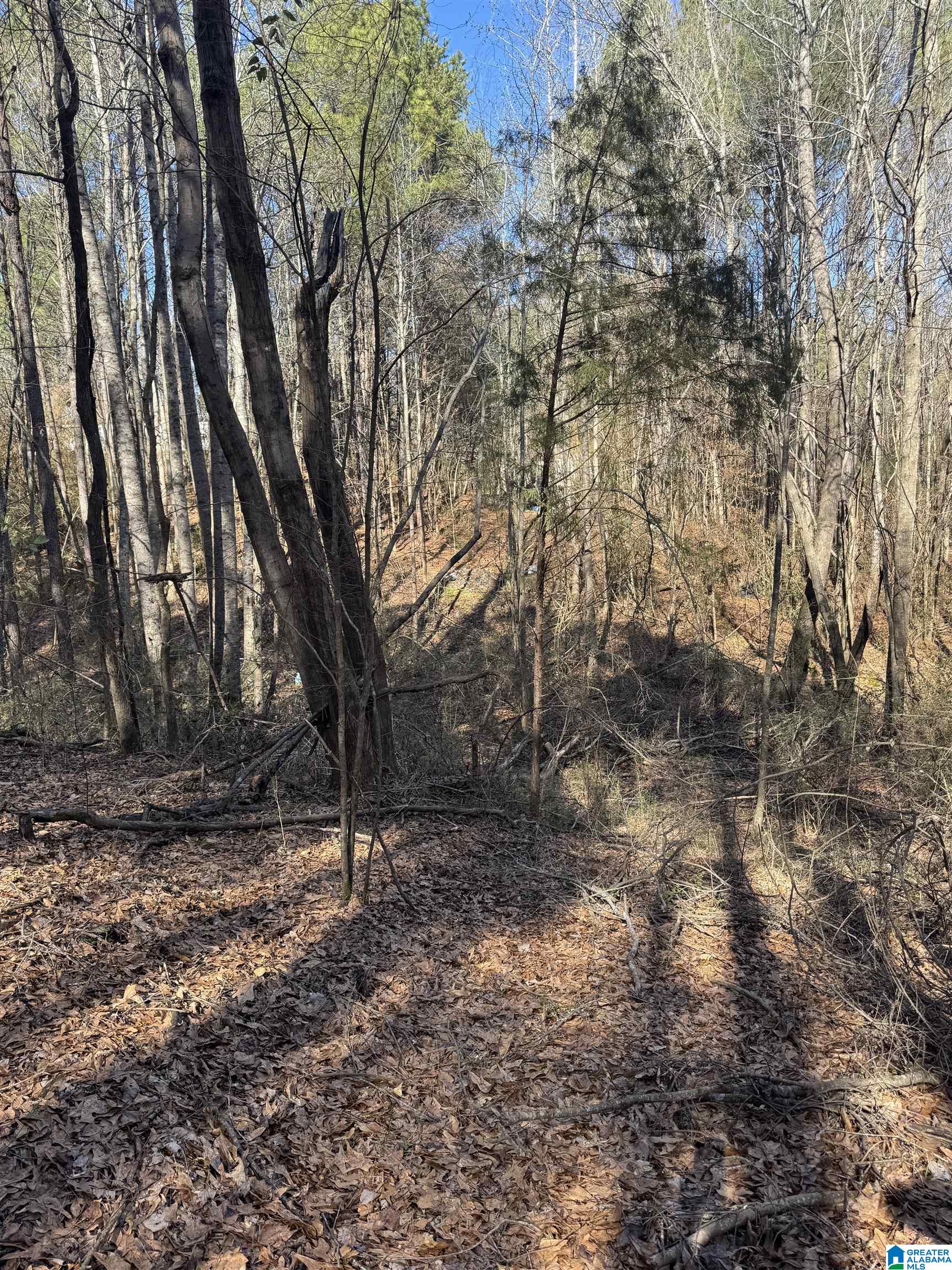 Homes for sale in Vance, AL | 0 Booler Road, Vance, AL 35490 | MLS# 21433454