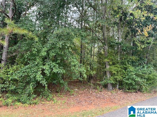 Homes for sale in Talladega, AL | 0 Ponderosa Dr, Talladega, AL 35160 | MLS# 21433505