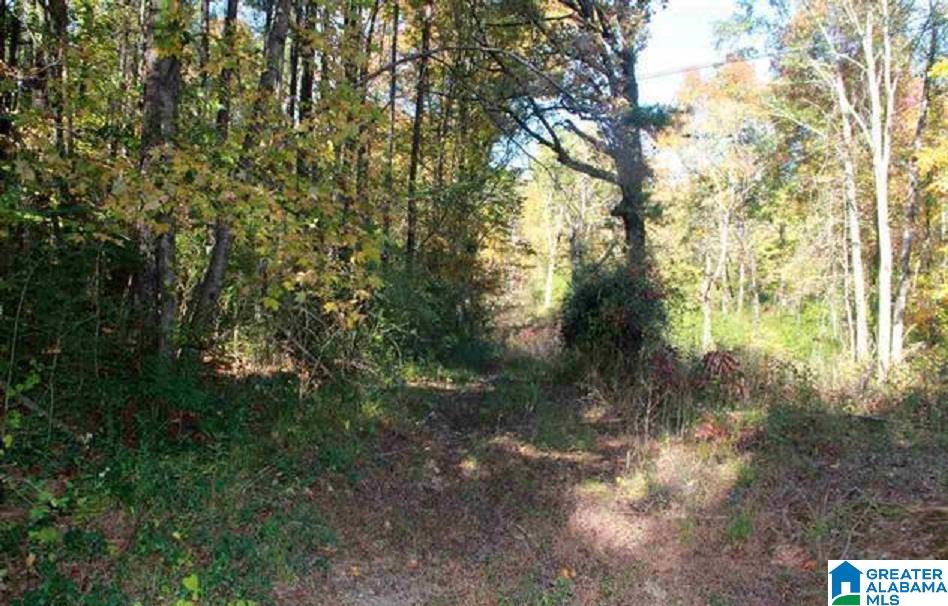 5840 SERVICE ROAD