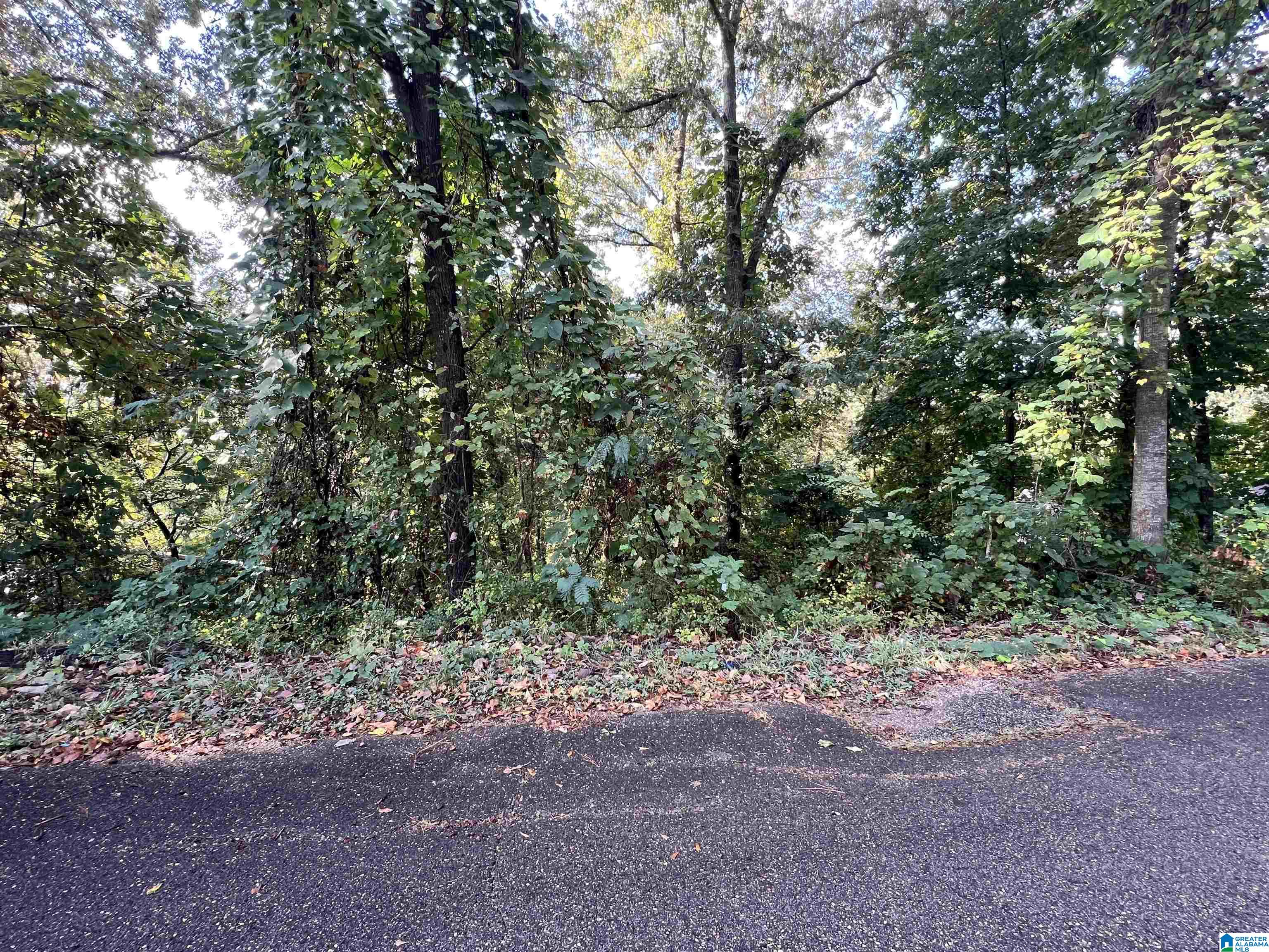 3116 BRENTWOOD DRIVE