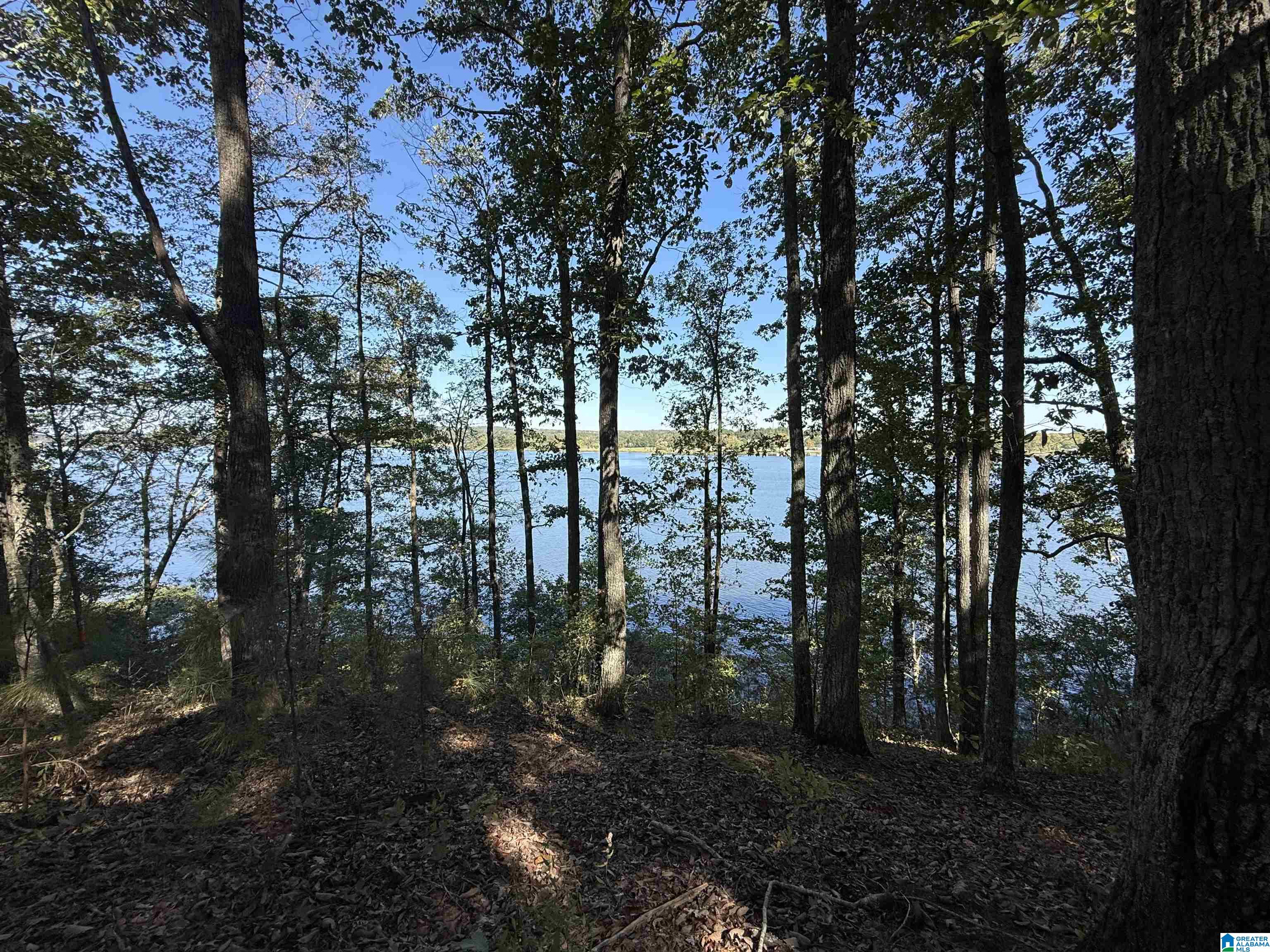 1st image of Billingsley Dr, Sylacauga, AL 35044 | MLS# 21434156
