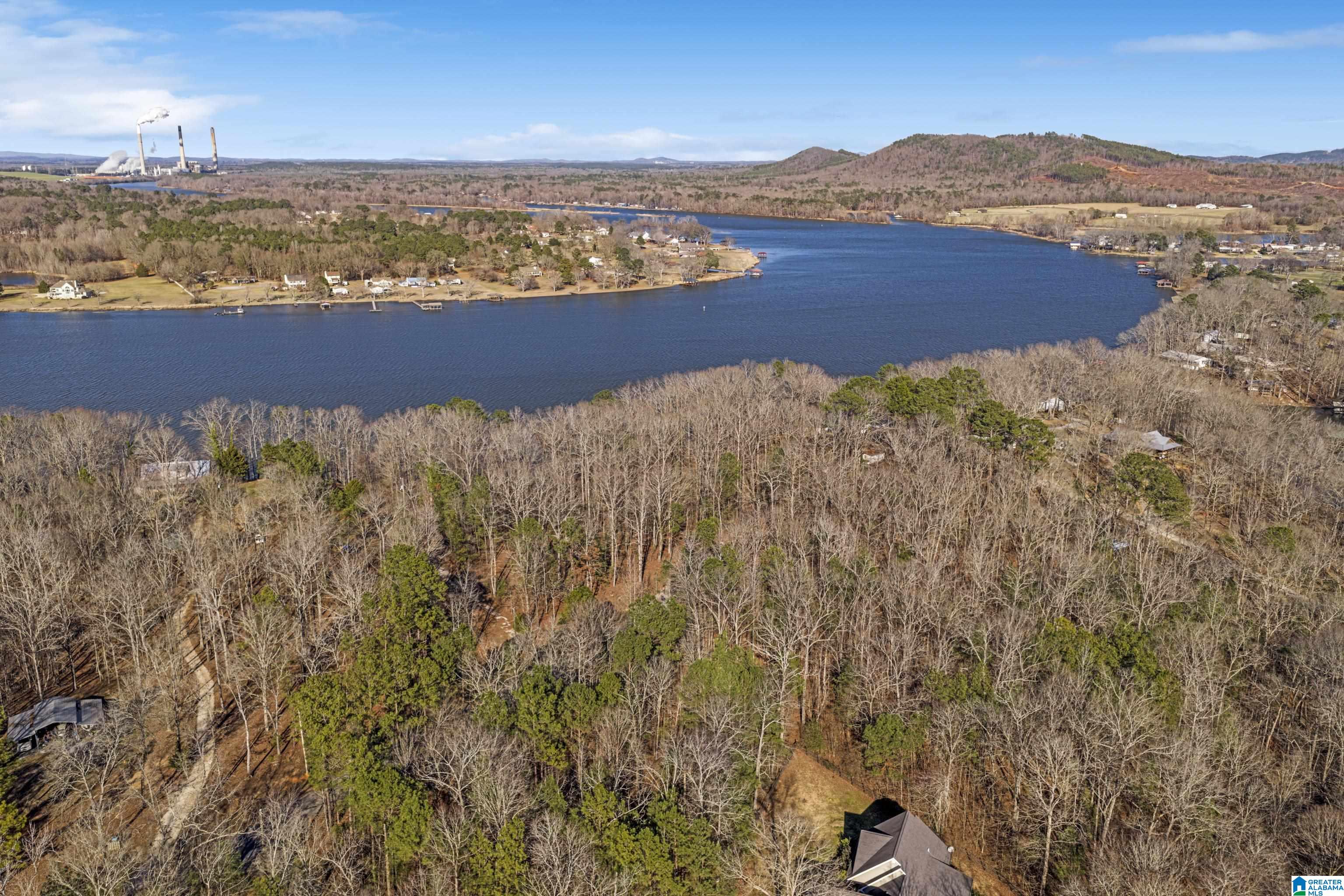 Homes for sale in Sylacauga, AL | Billingsley Dr, Sylacauga, AL 35044 | MLS# 21434156