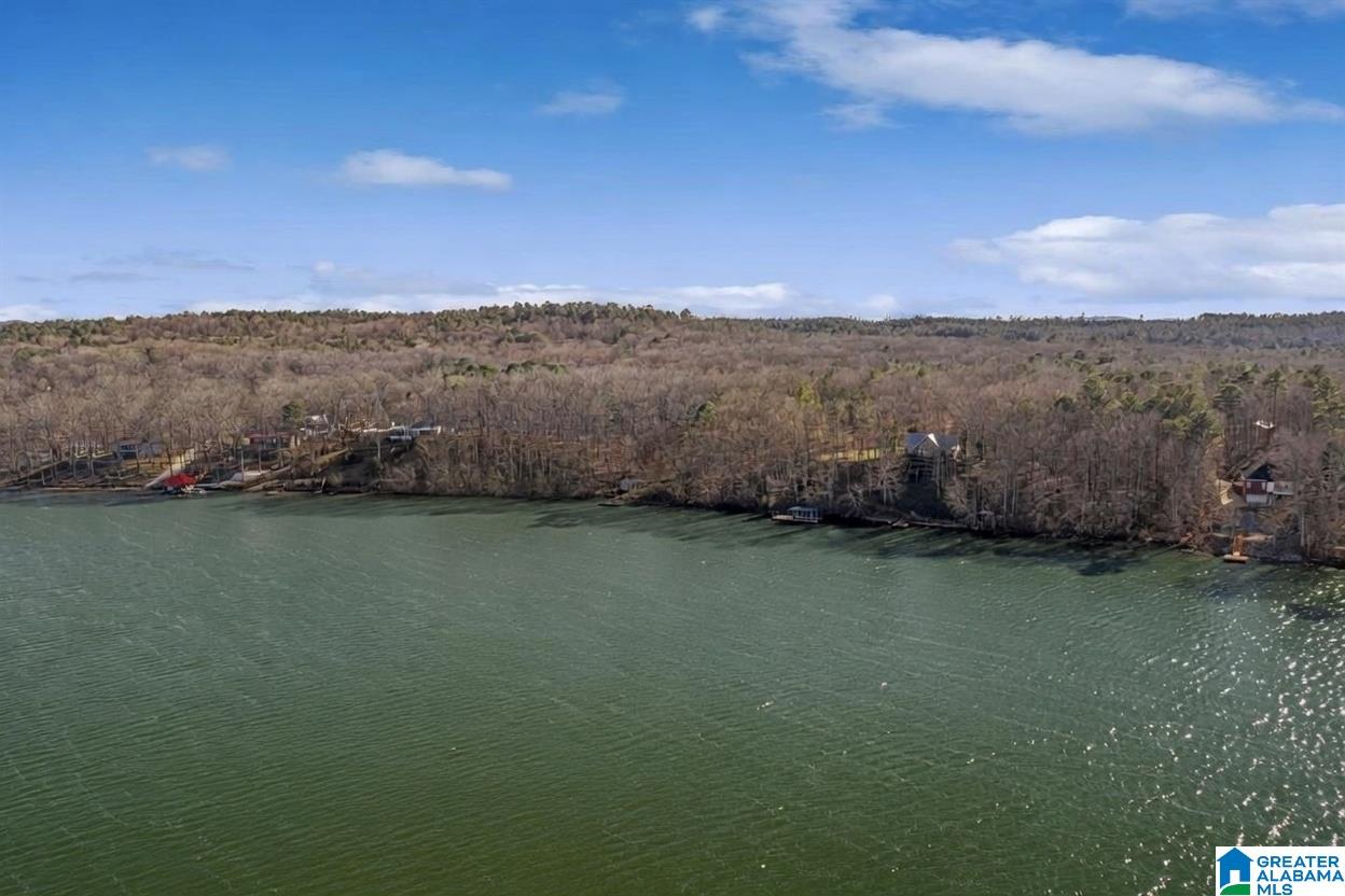 Homes for sale in Sylacauga, AL | Billingsley Dr, Sylacauga, AL 35044 | MLS# 21434156