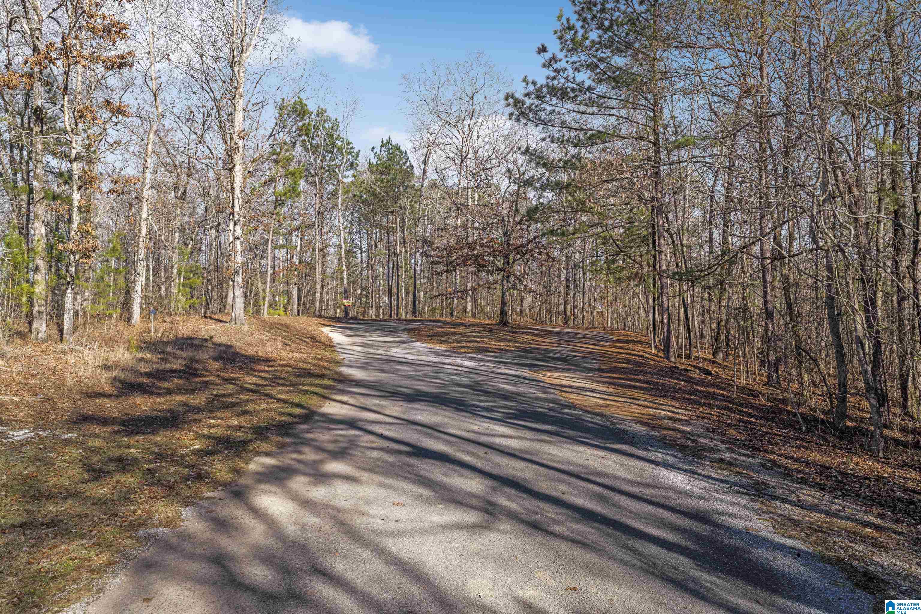 4th image of Billingsley Dr, Sylacauga, AL 35044 | MLS# 21434156