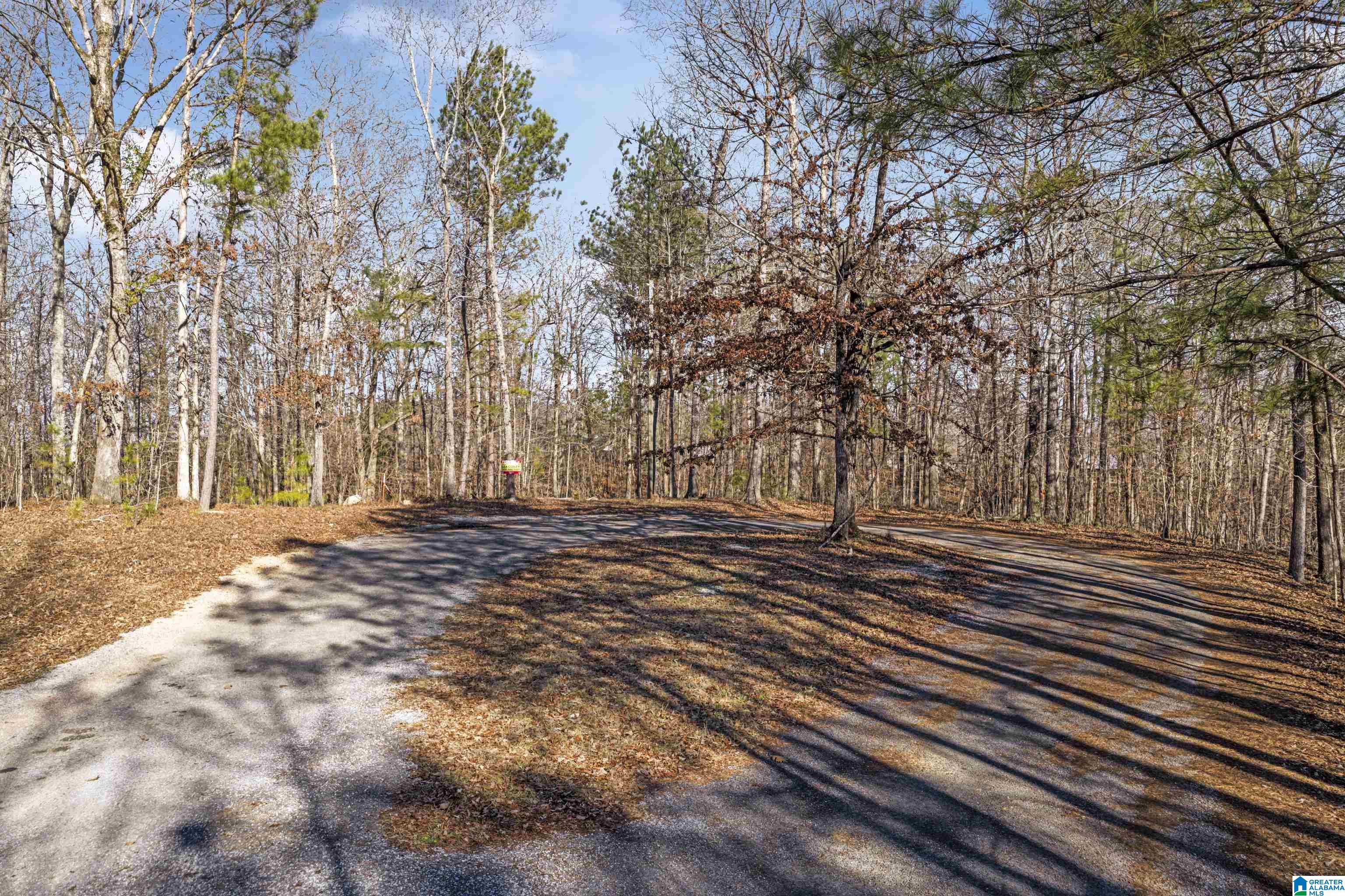 Homes for sale in Sylacauga, AL | Billingsley Dr, Sylacauga, AL 35044 | MLS# 21434156